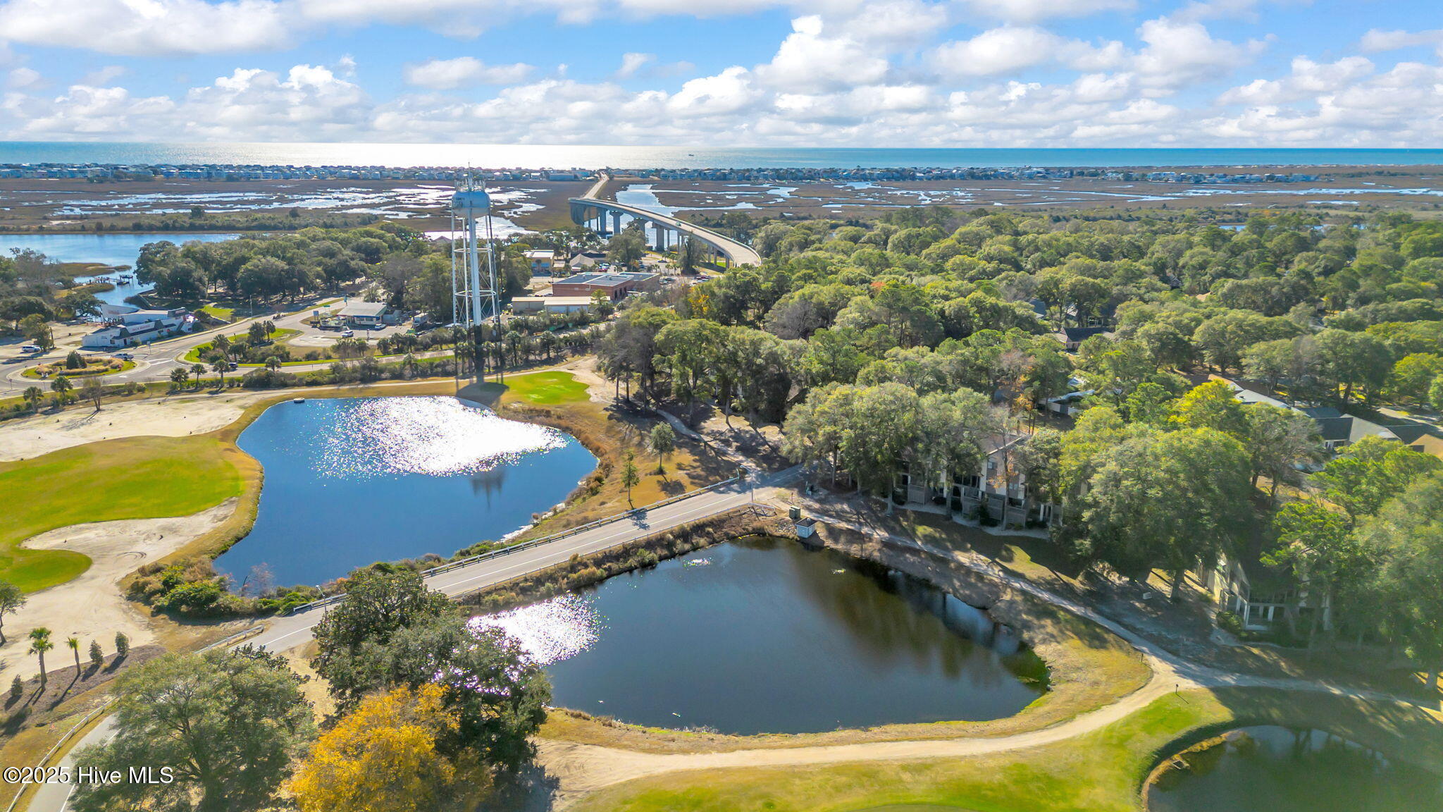 100543915 | Photo 54