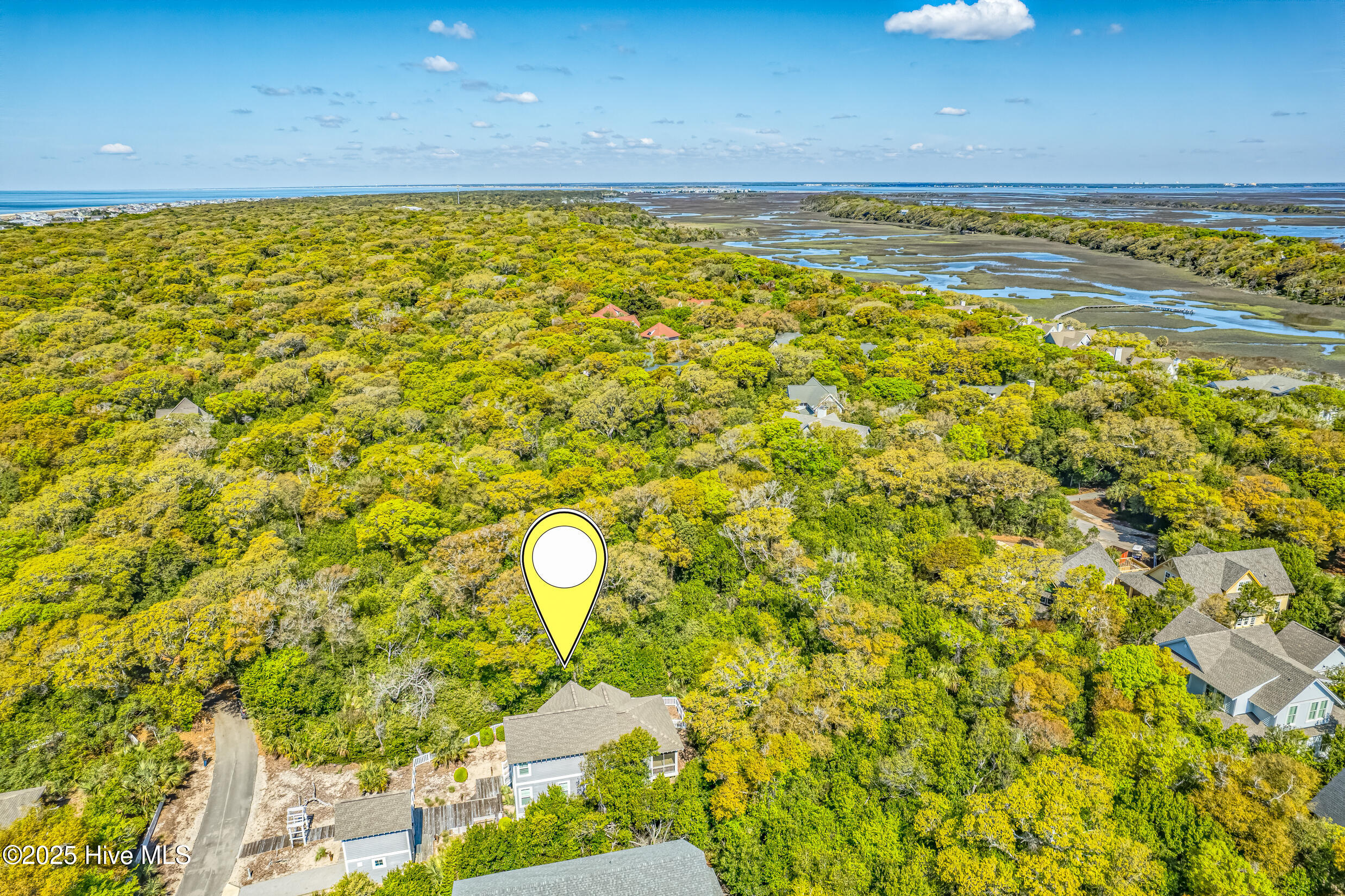 100501018 | Photo 46