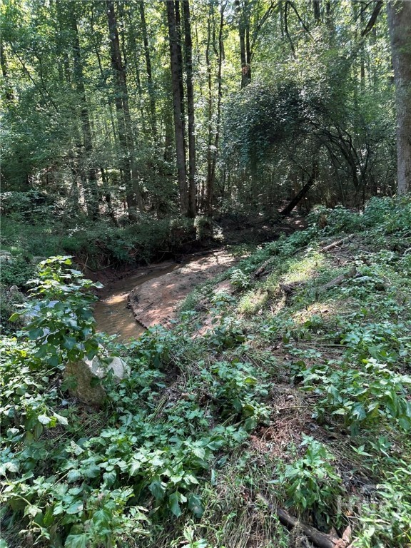 00 Fears, Madison, GA, 30650