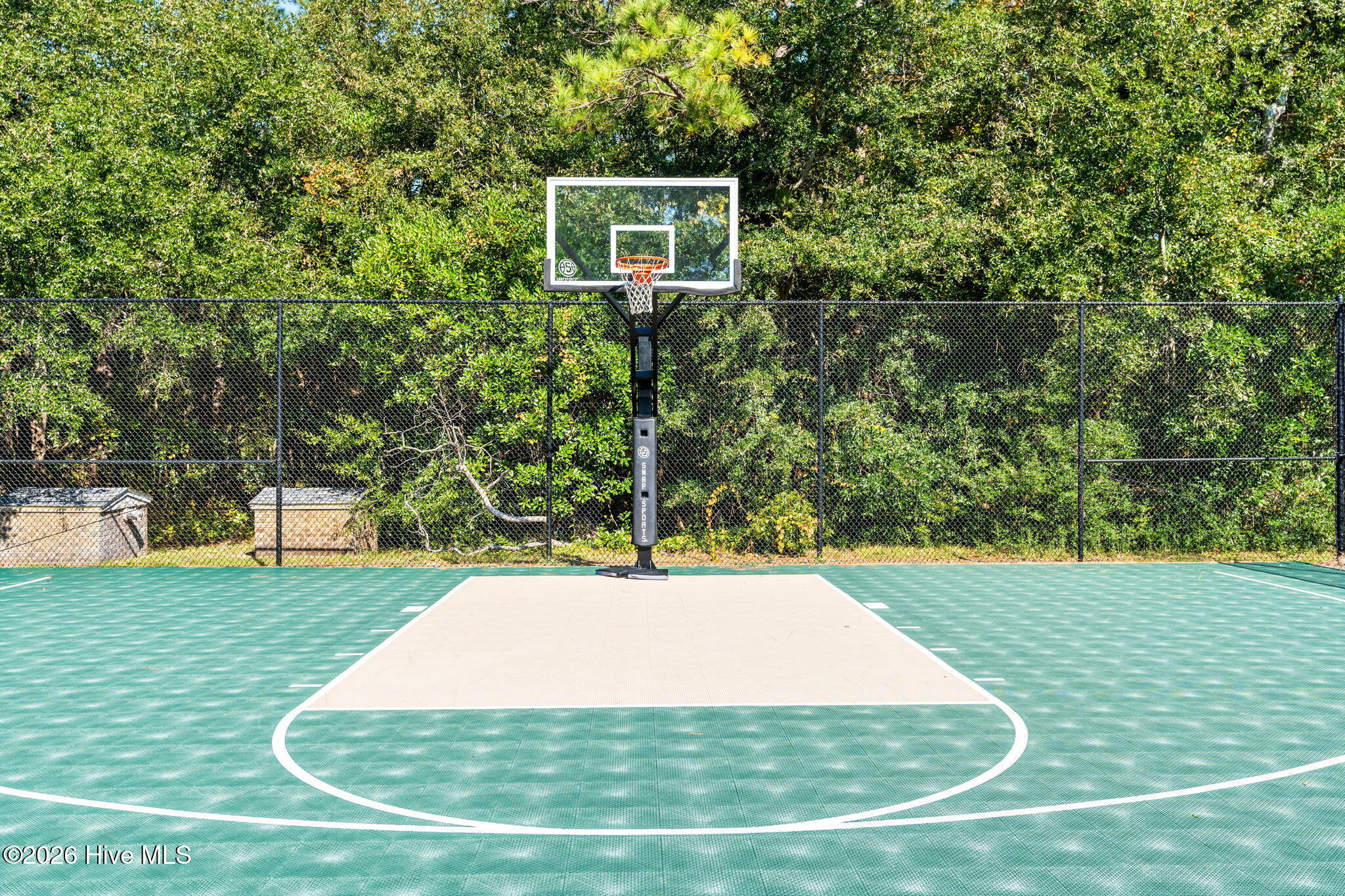 100567404 | Photo 32