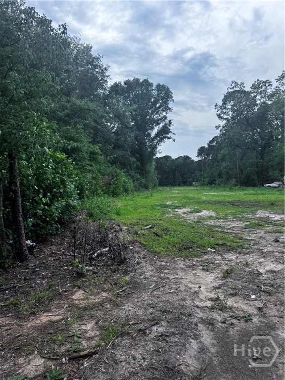 3rd image of 0 Fort Argyle Rd, Savannah, GA 31419 | MLS# SA355762