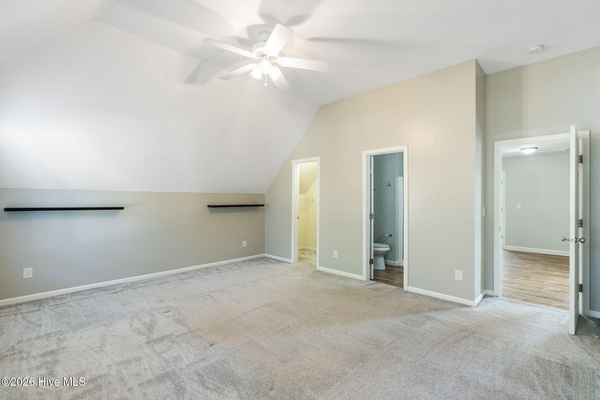 100558662 | Photo 54