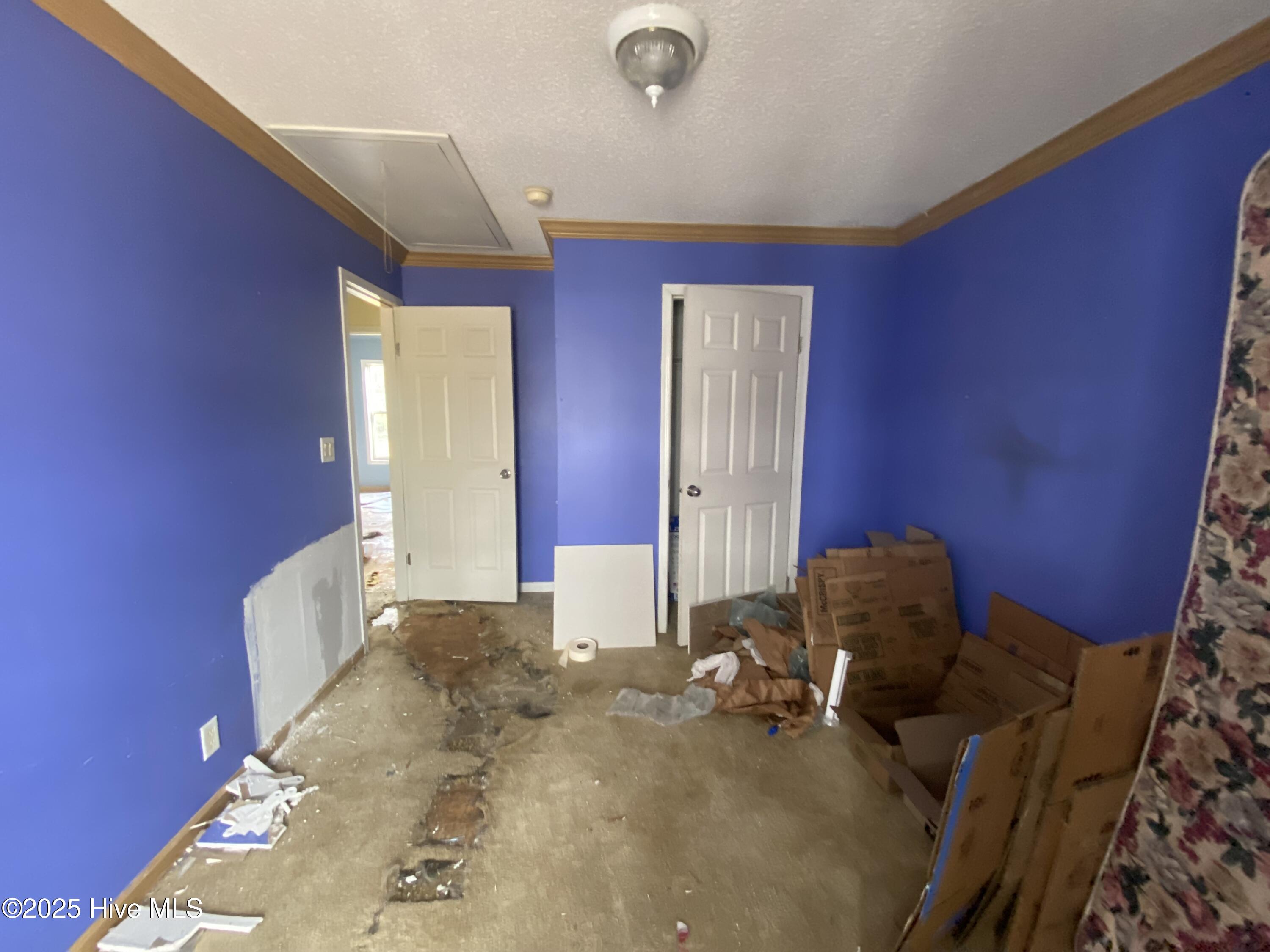 100543834 | Photo 18