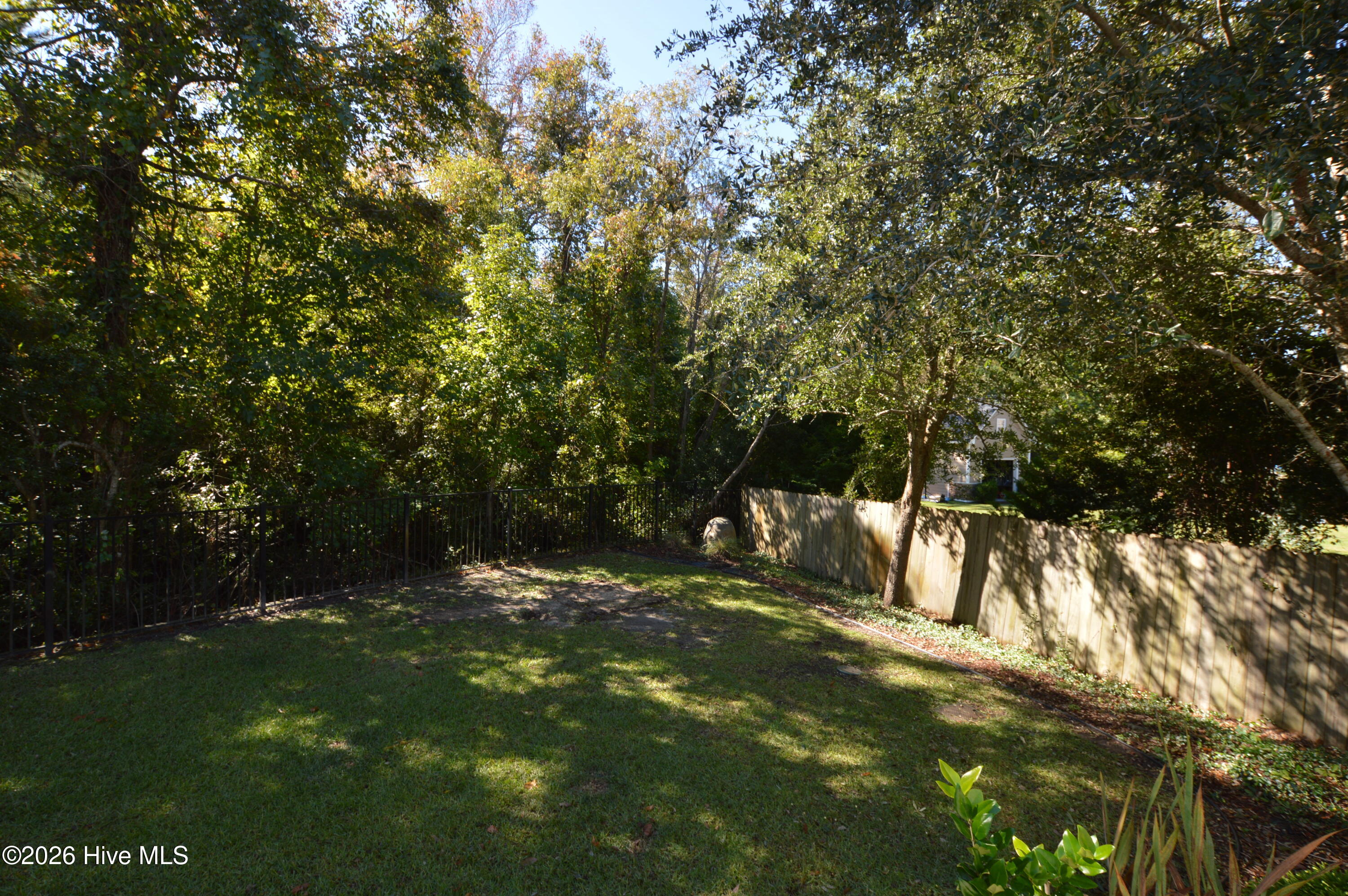 100568585 | Photo 22