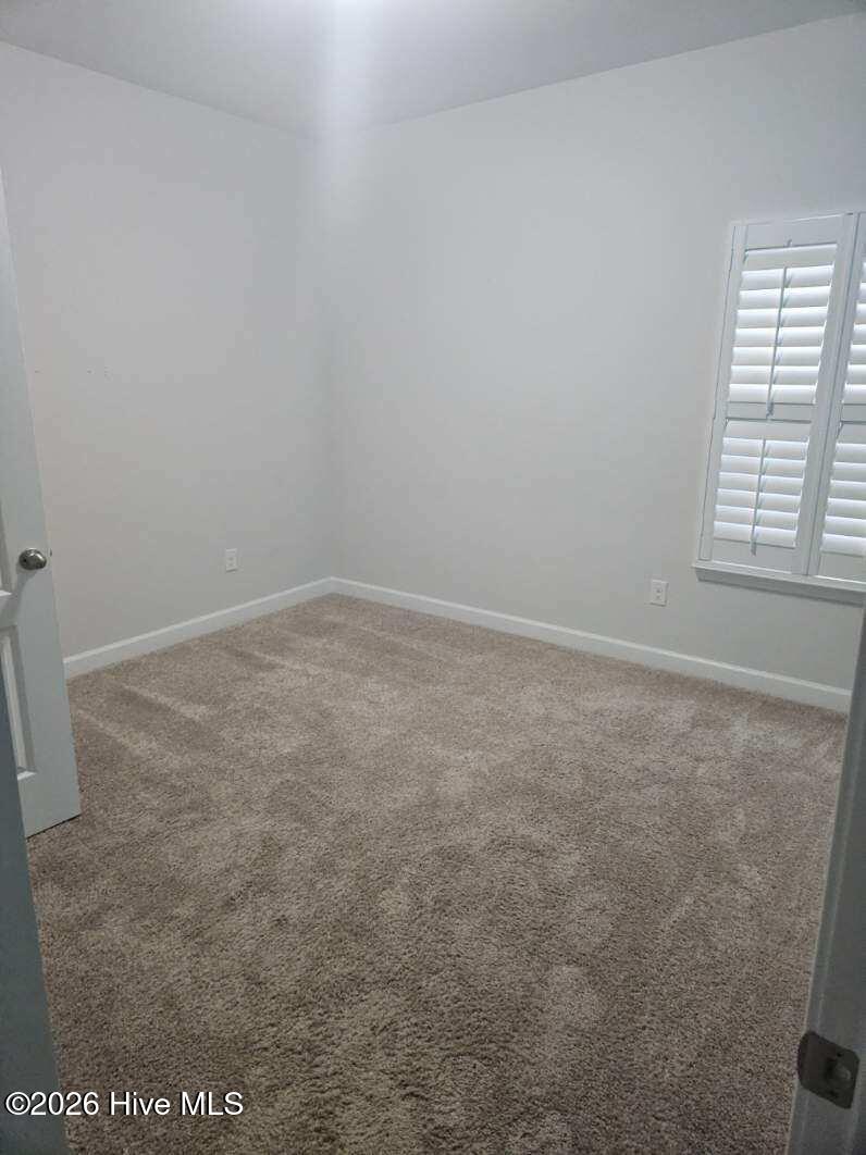 100563283 | Photo 16