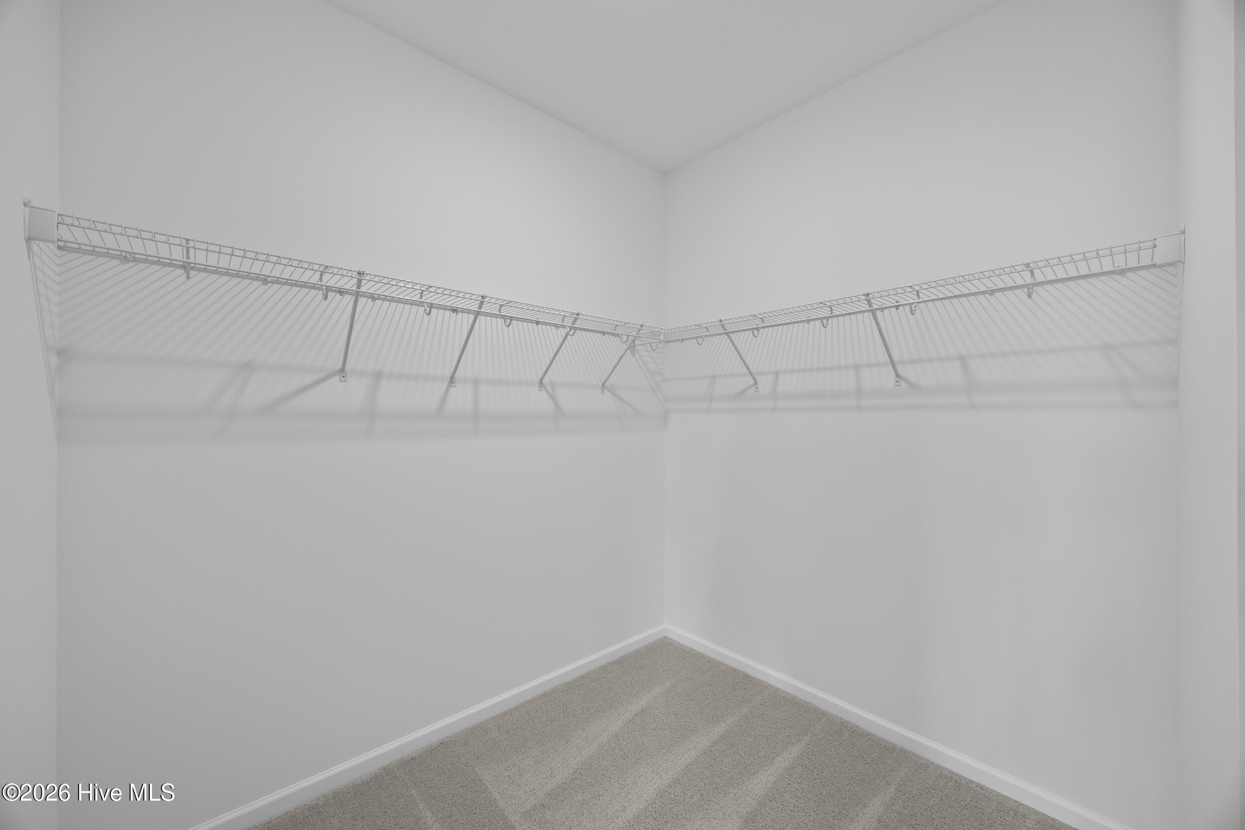 100553228 | Photo 27