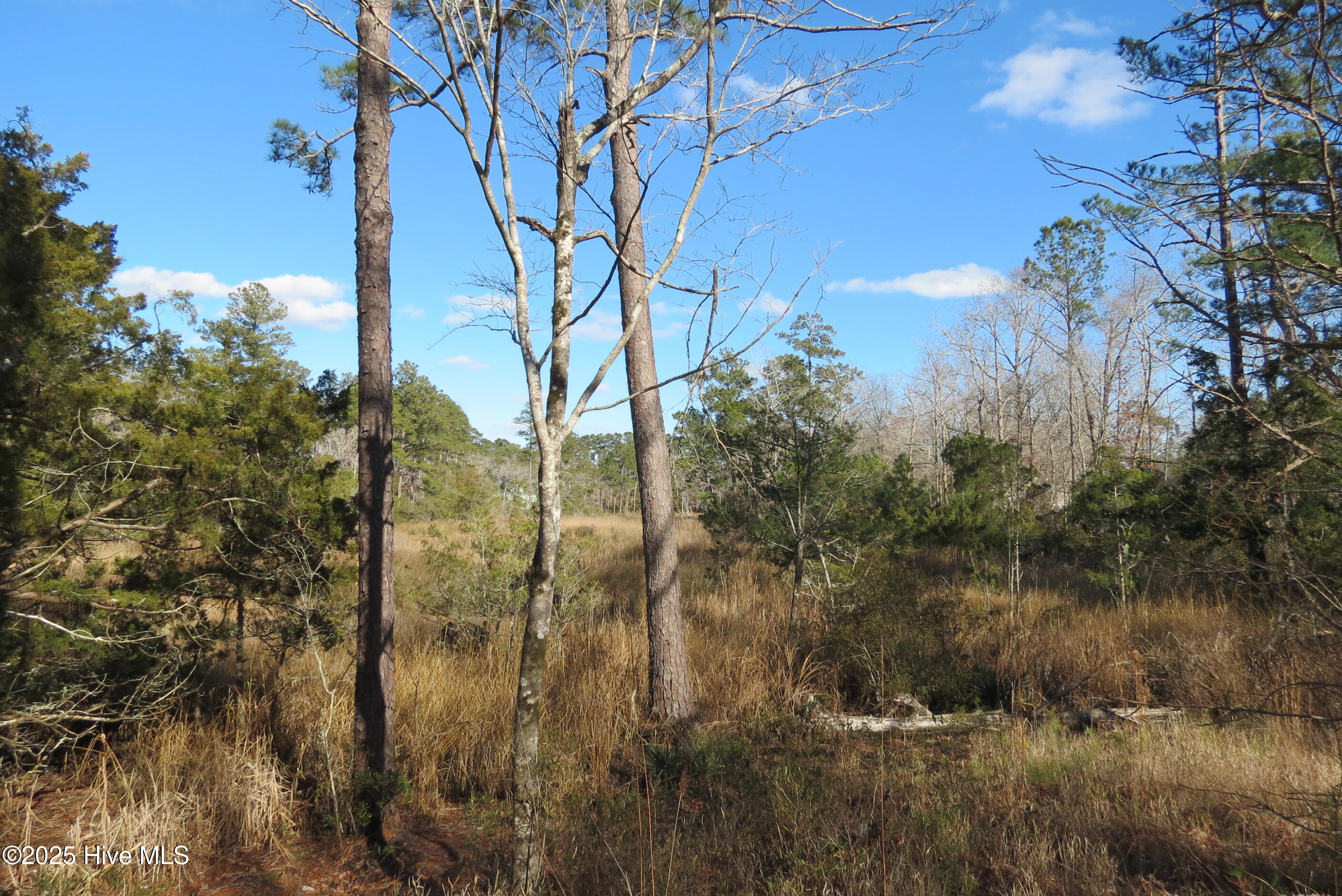 109 Winding Creek Drive, Oriental, NC, 28571