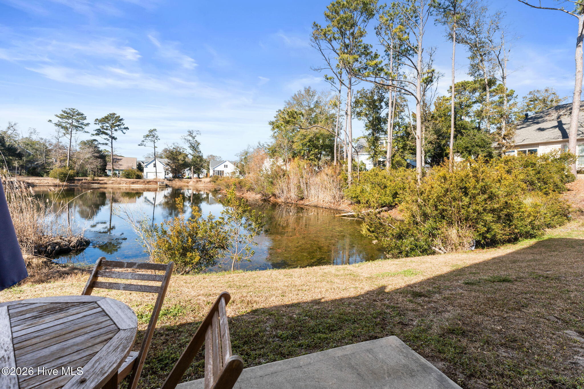 100552561 | Photo 13