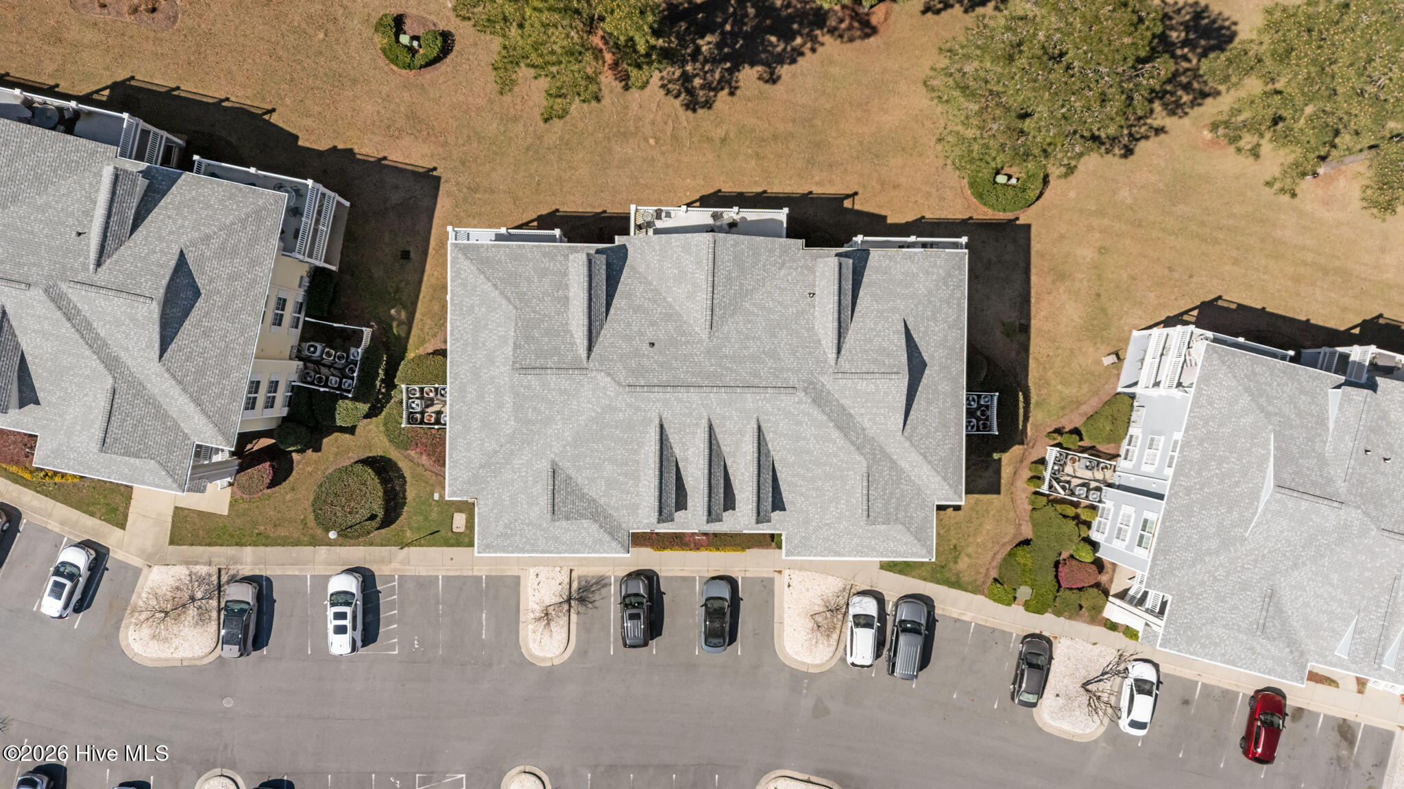 100561049 | Photo 29