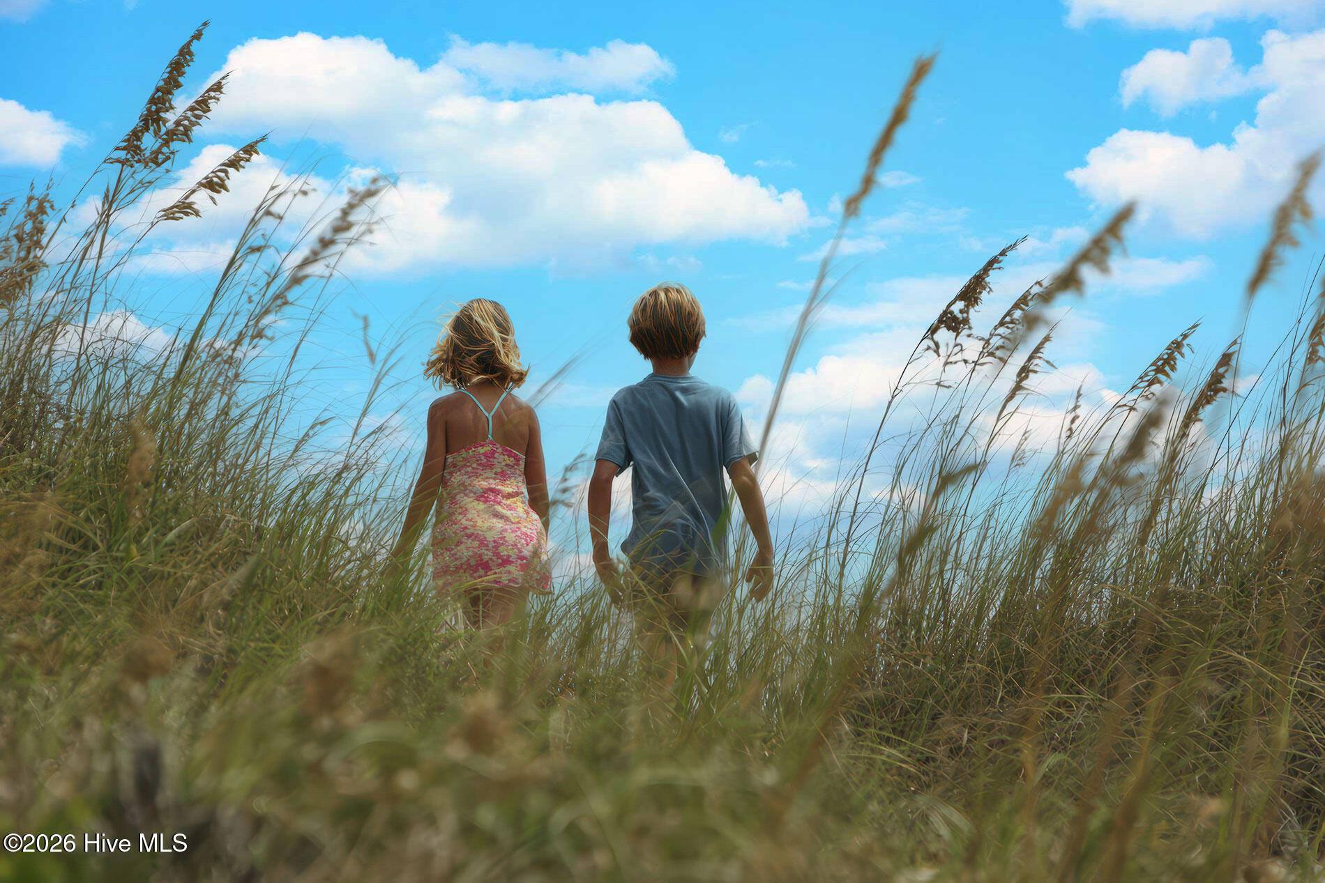 100563613 | Photo 42