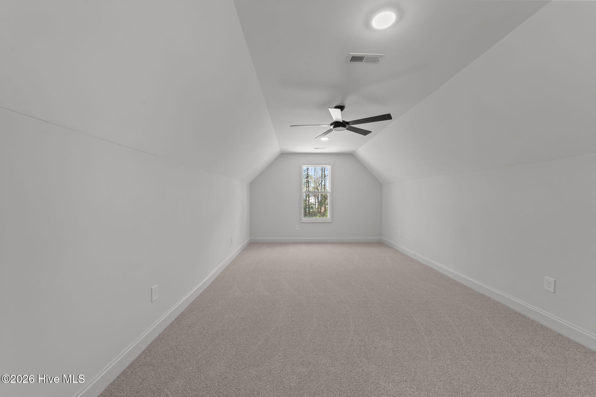 100528698 | Photo 30