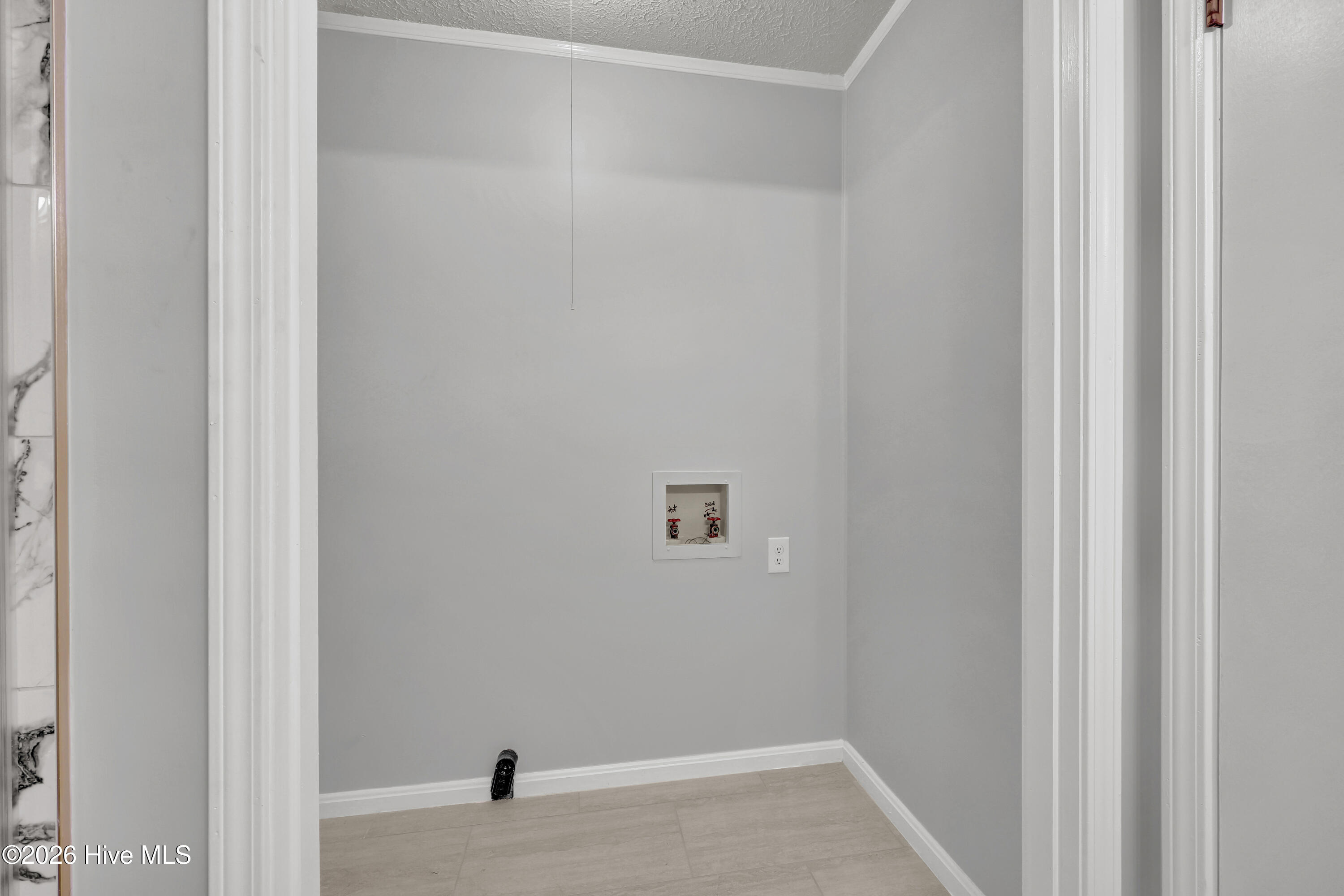 100564655 | Photo 15