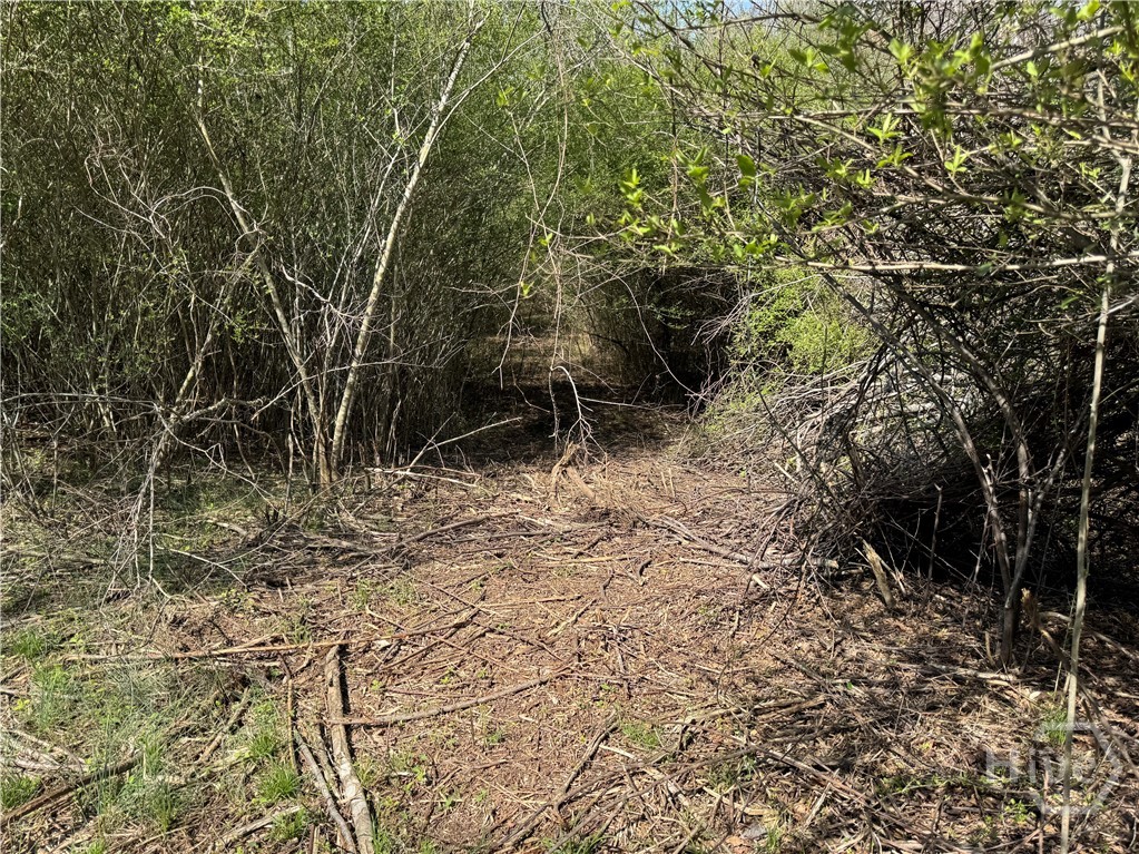 738 Old Mineral Springs Road, Elberton, GA, 30635