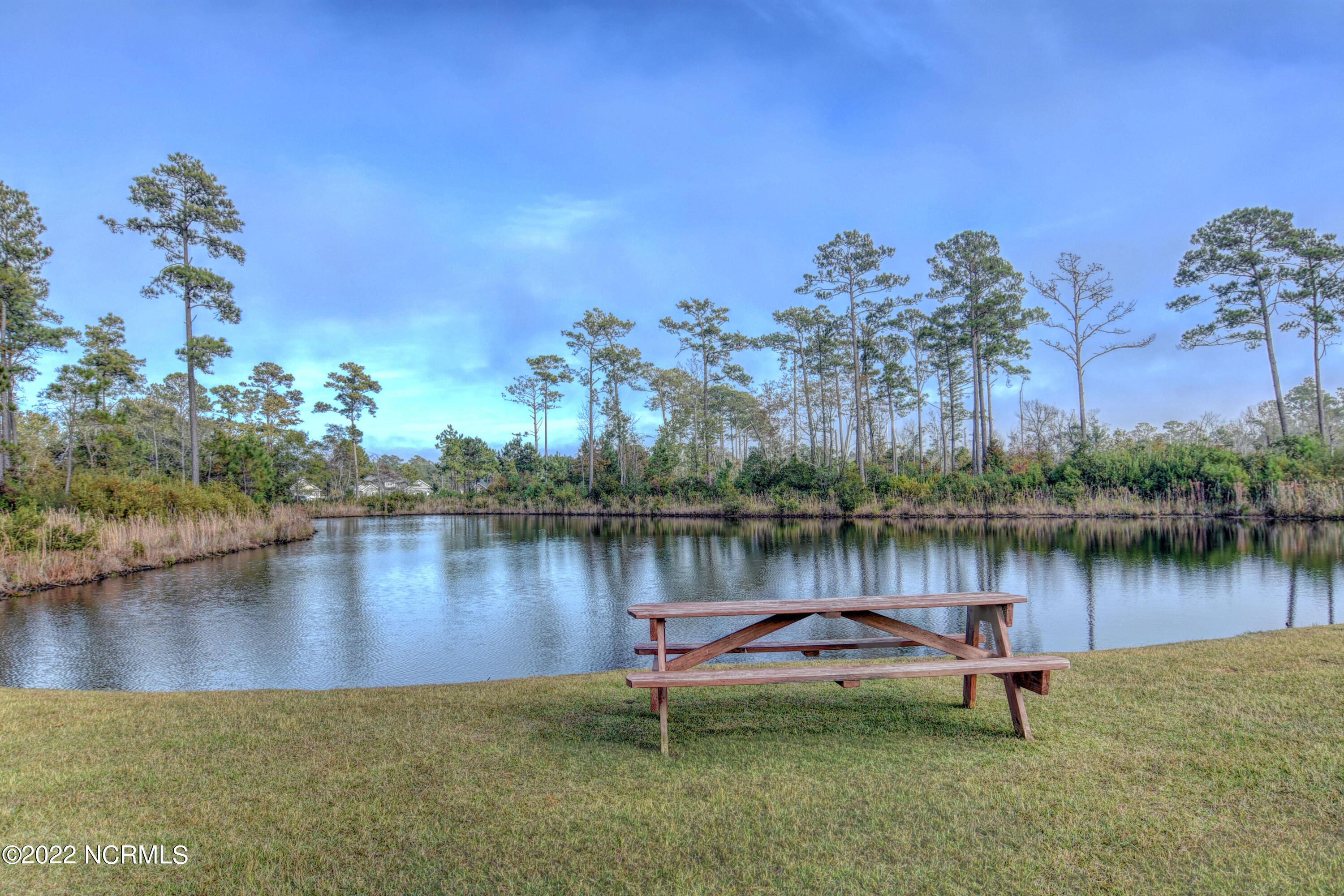 100523727 | Photo 17