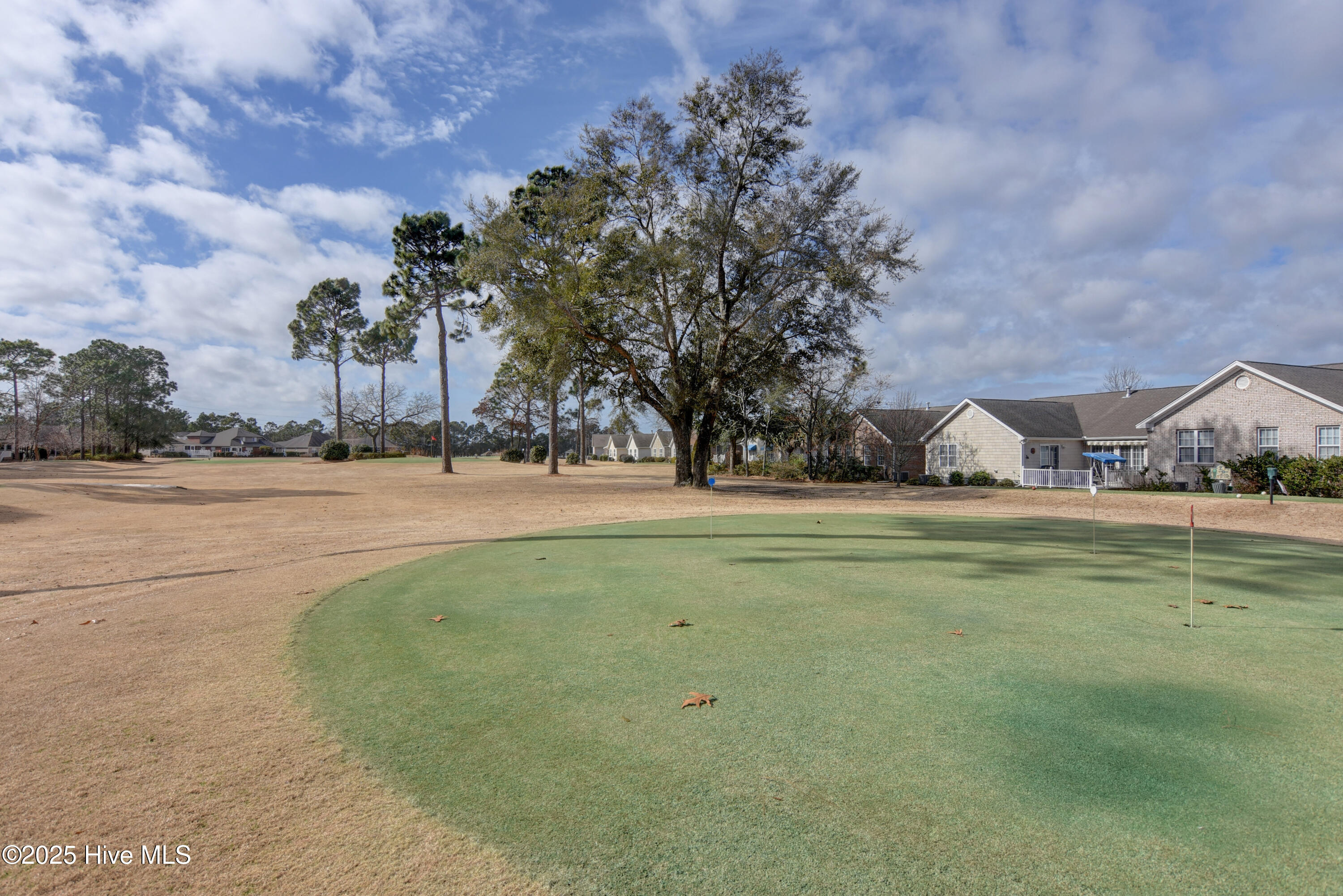 100534065 | Photo 39