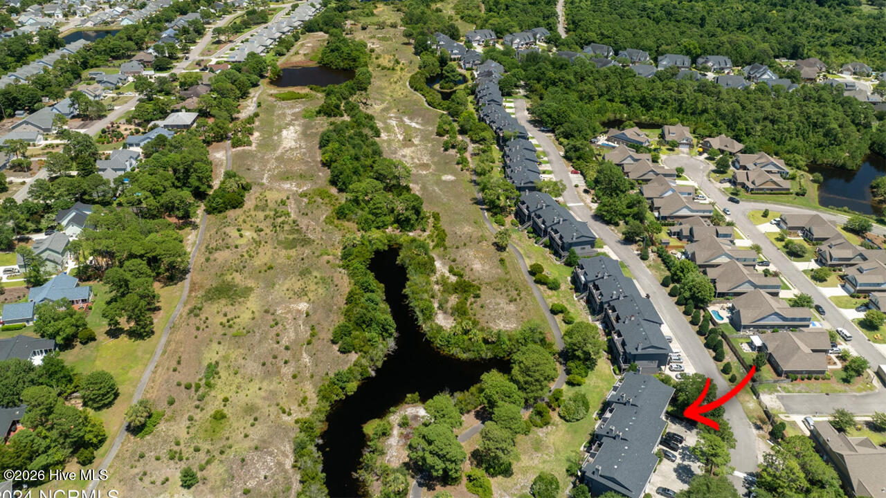 100555356 | Photo 43