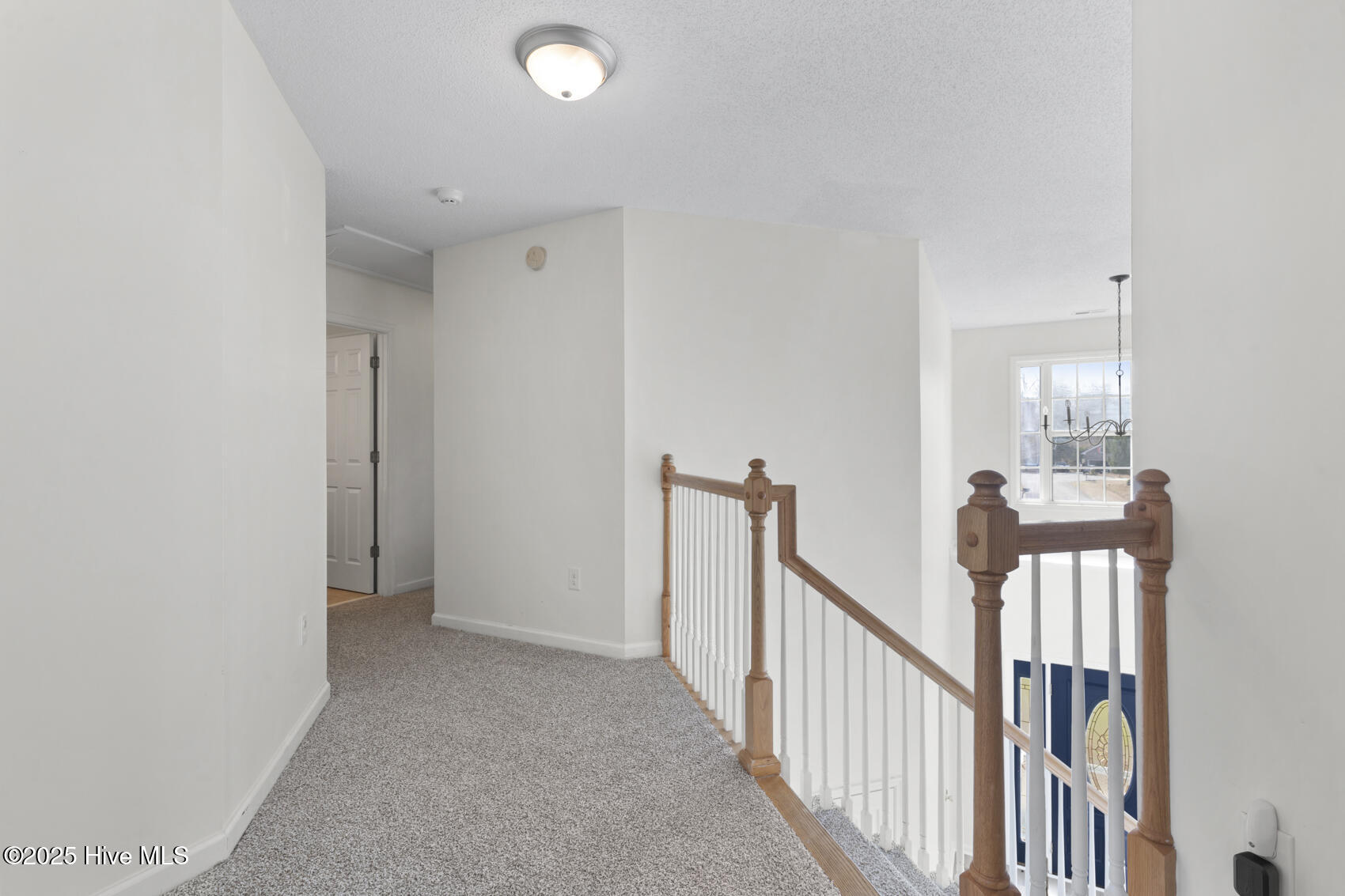 100490996 | Photo 21