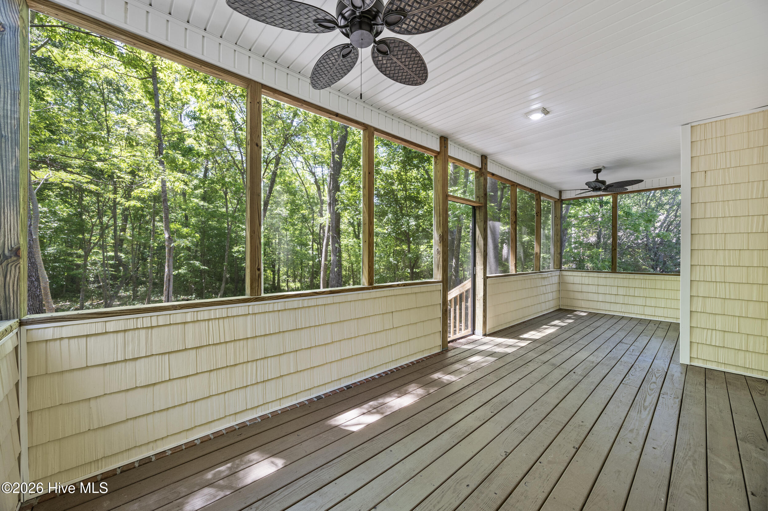 100569506 | Photo 43