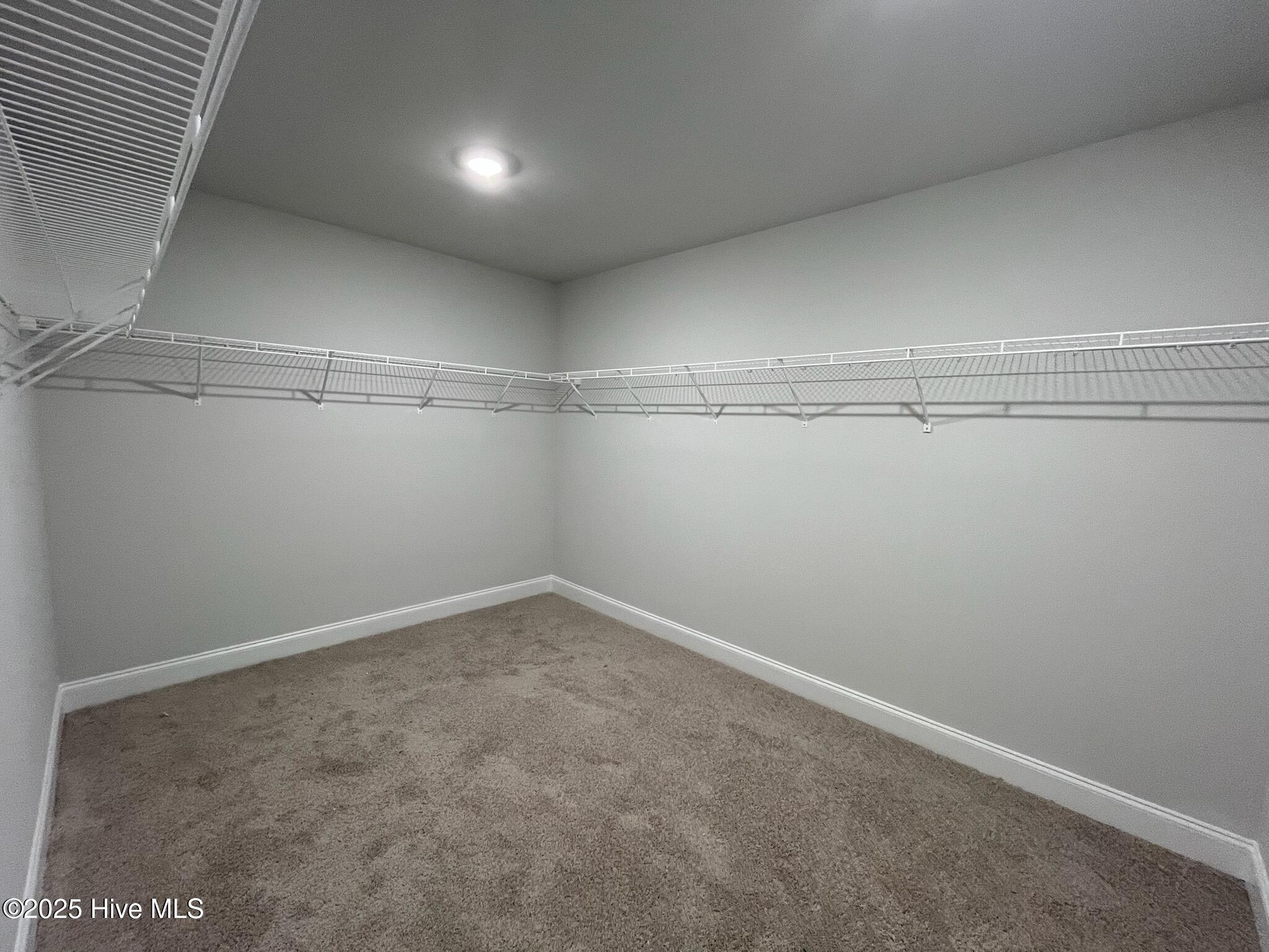 100420321 | Photo 24