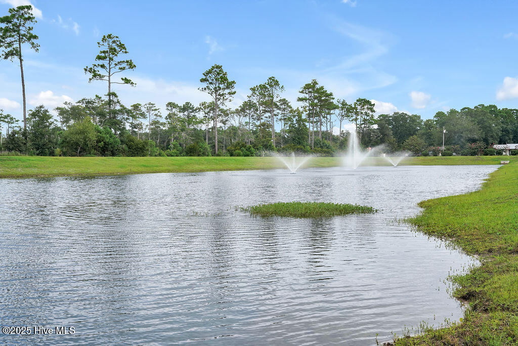 100535005 | Photo 39