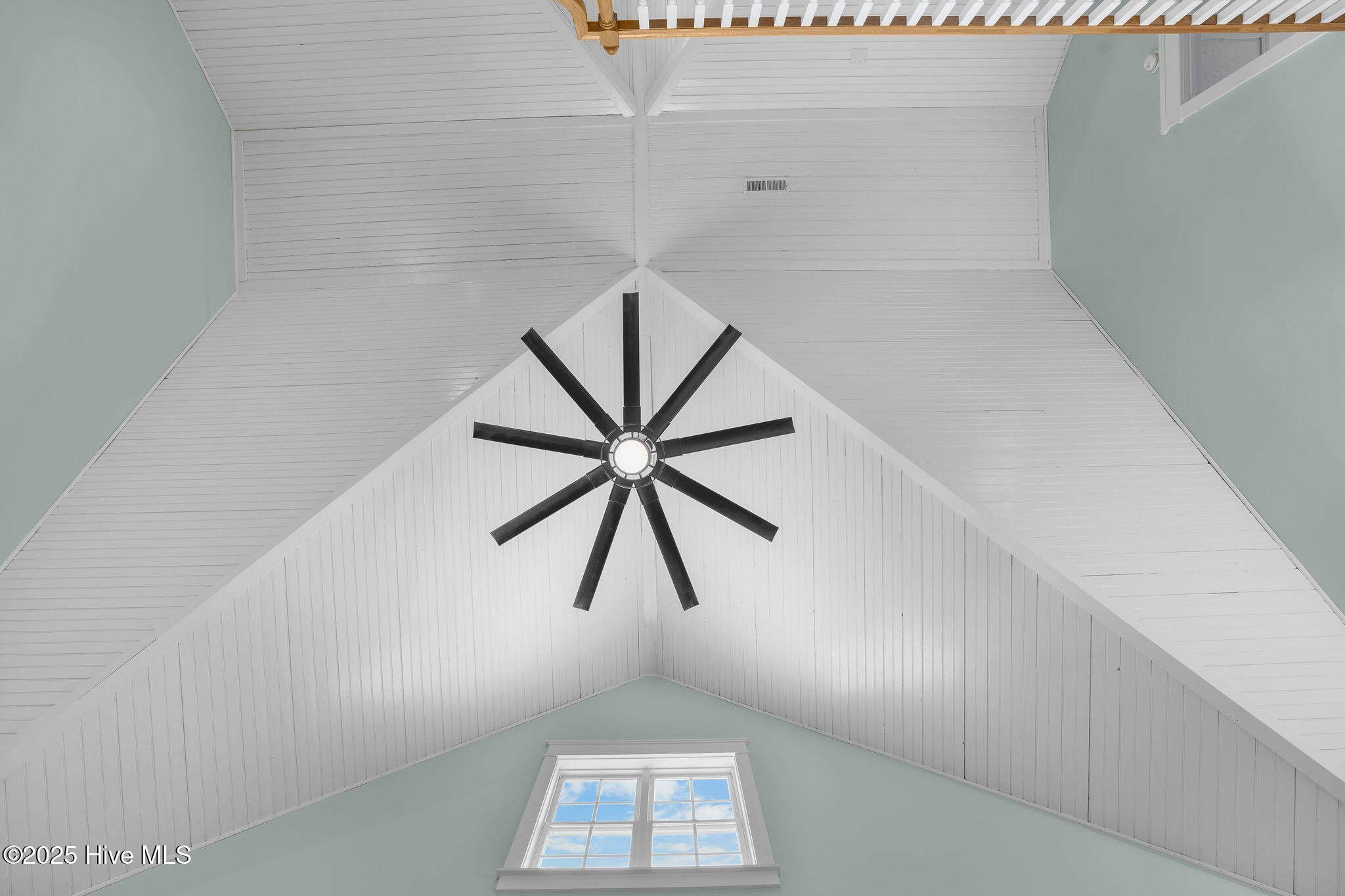 100526729 | Photo 32