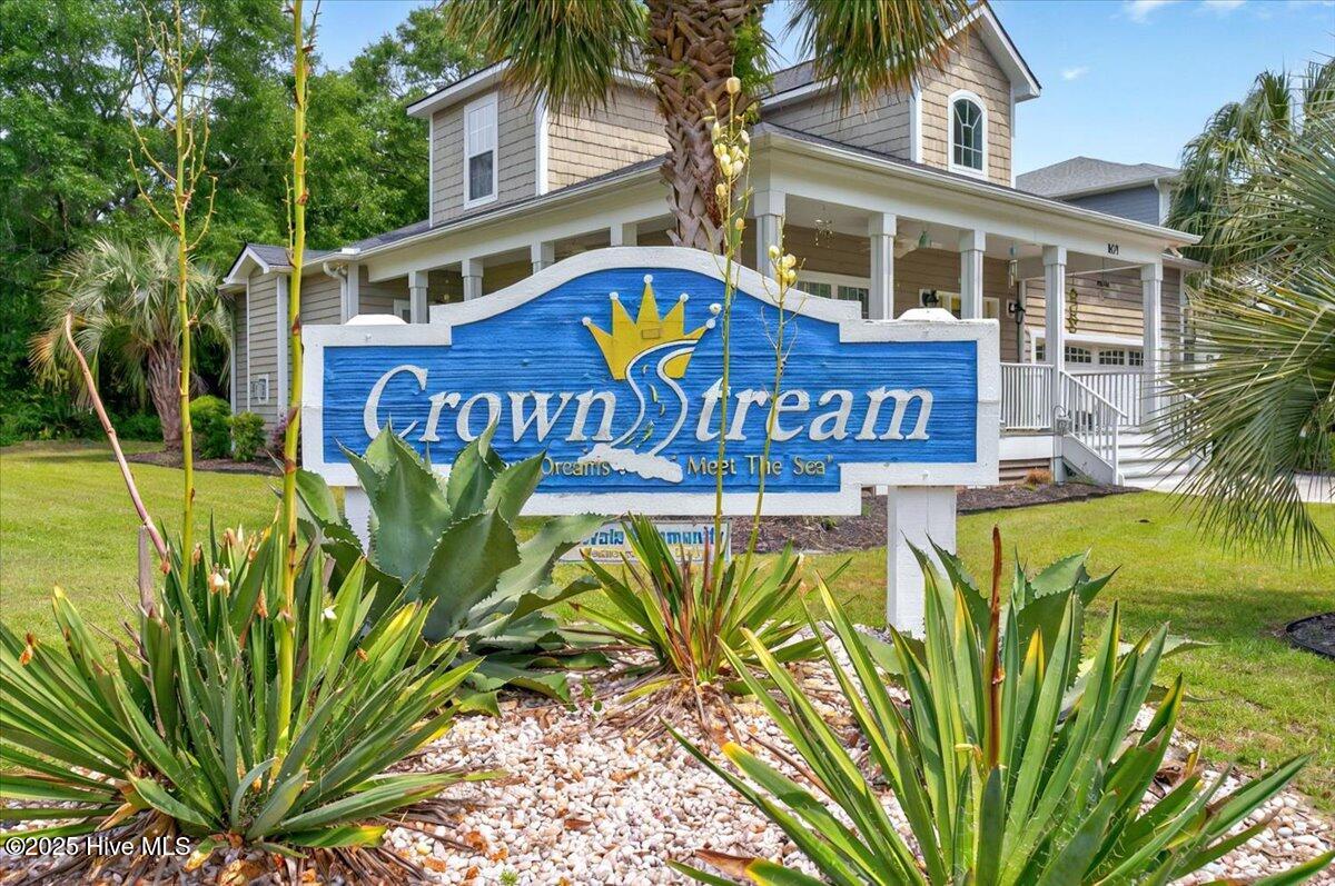 100536706 | Photo 50