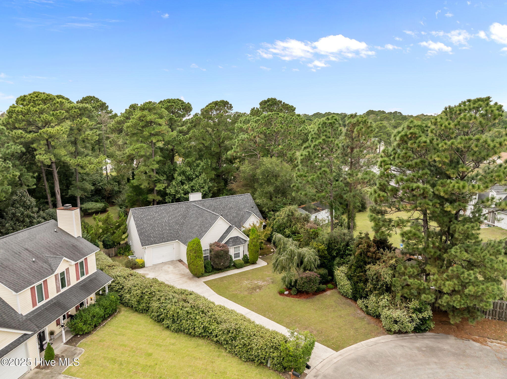 100543555 | Photo 38