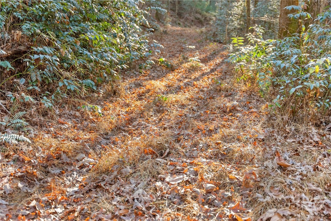 Shoal Creek Tract Habersham County