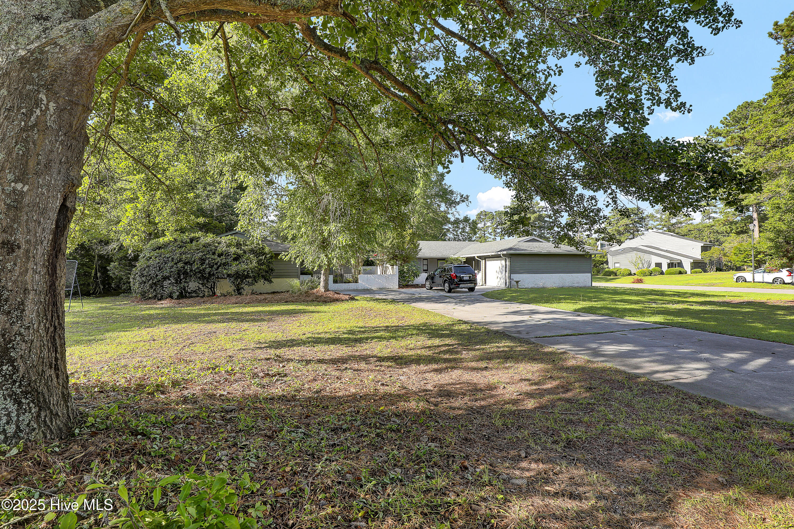 100543829 | Photo 20