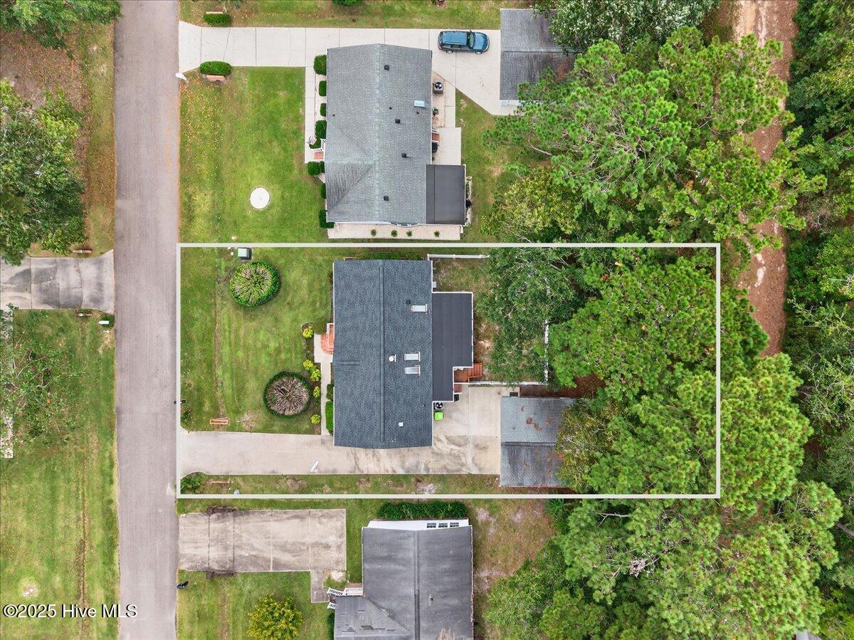 100535729 | Photo 53