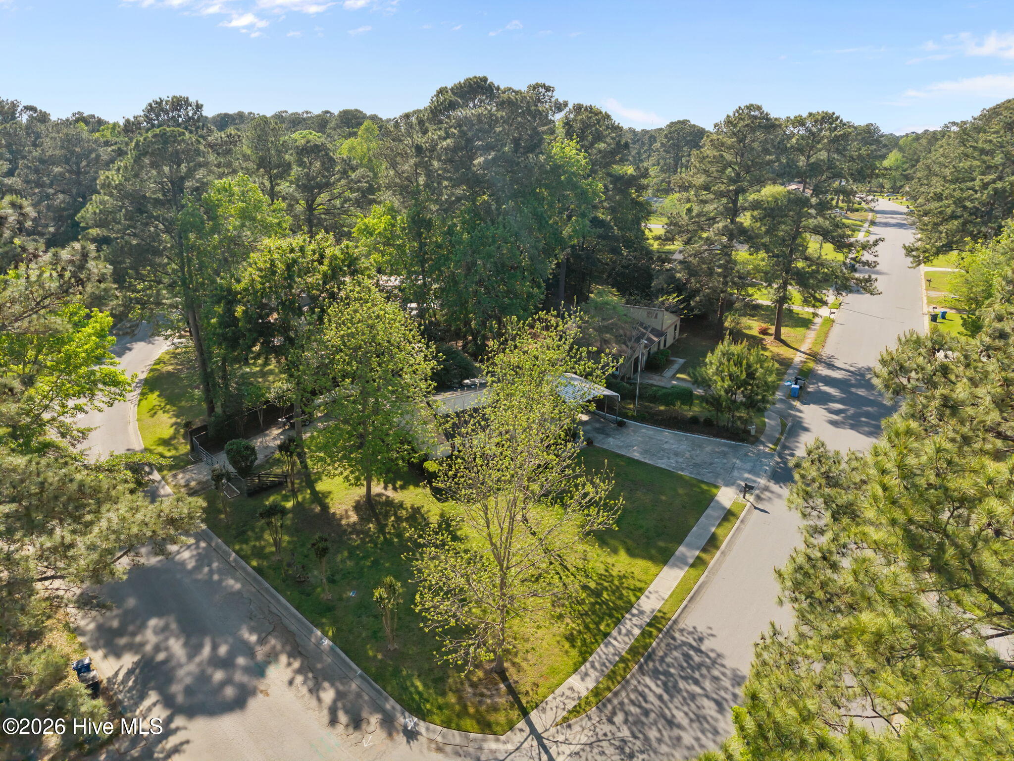 100567245 | Photo 32