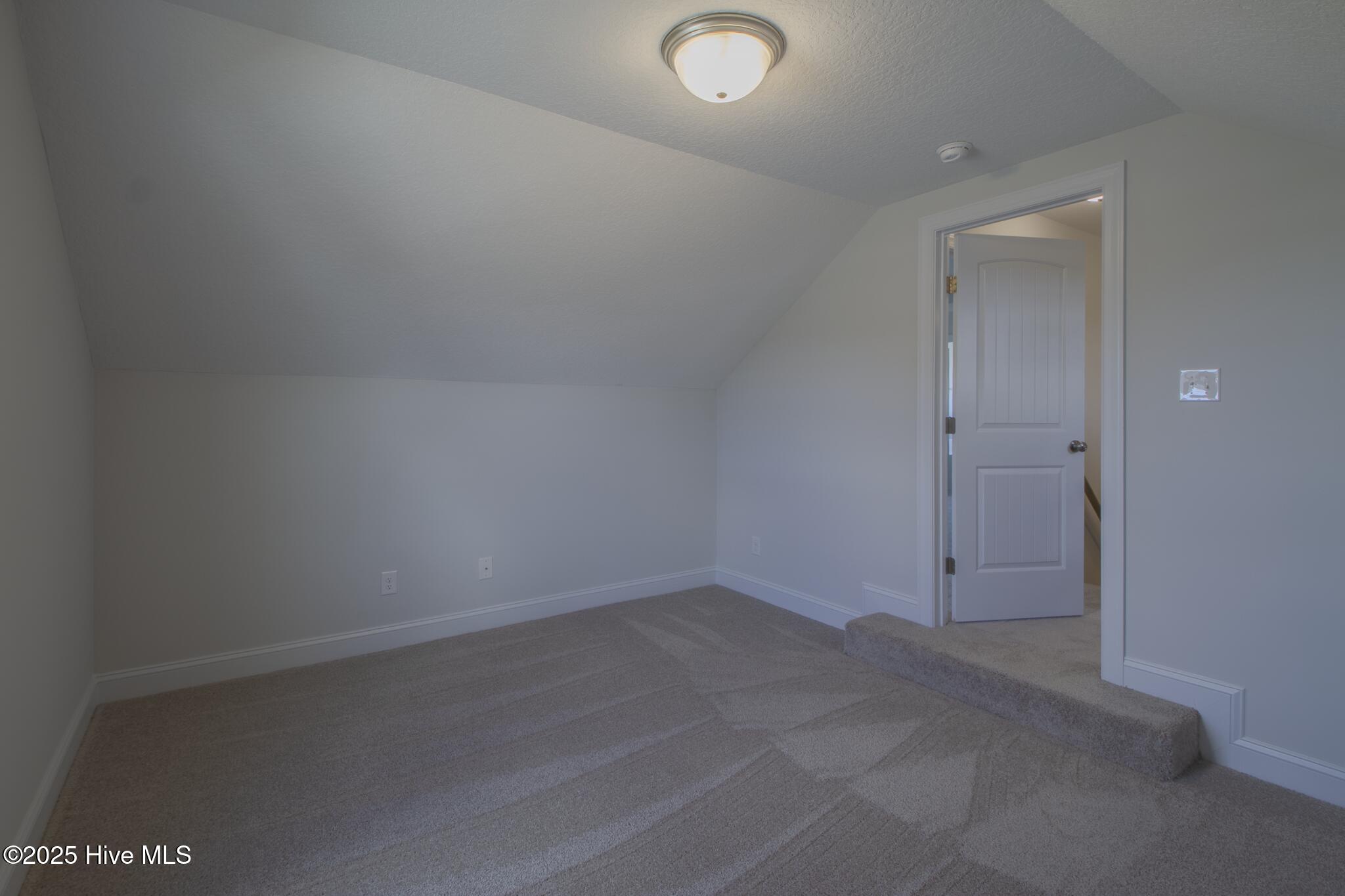 100512966 | Photo 19