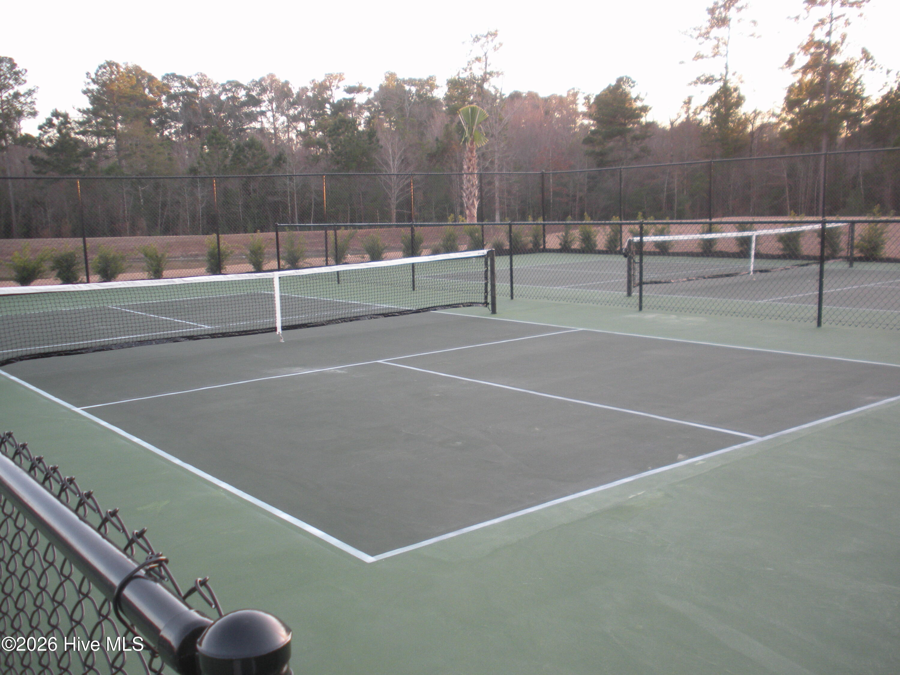 100548269 | Photo 32