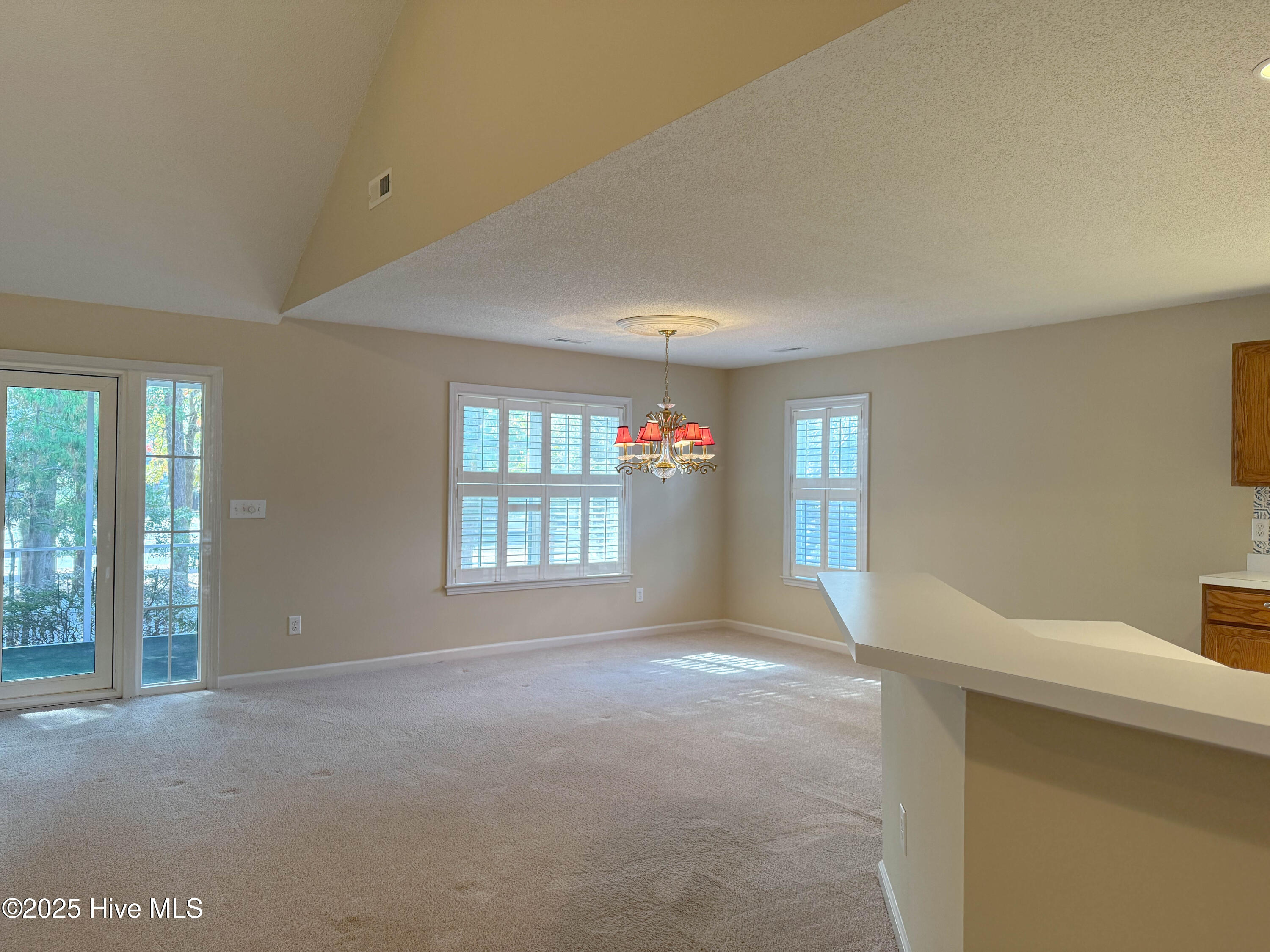 100542356 | Photo 13