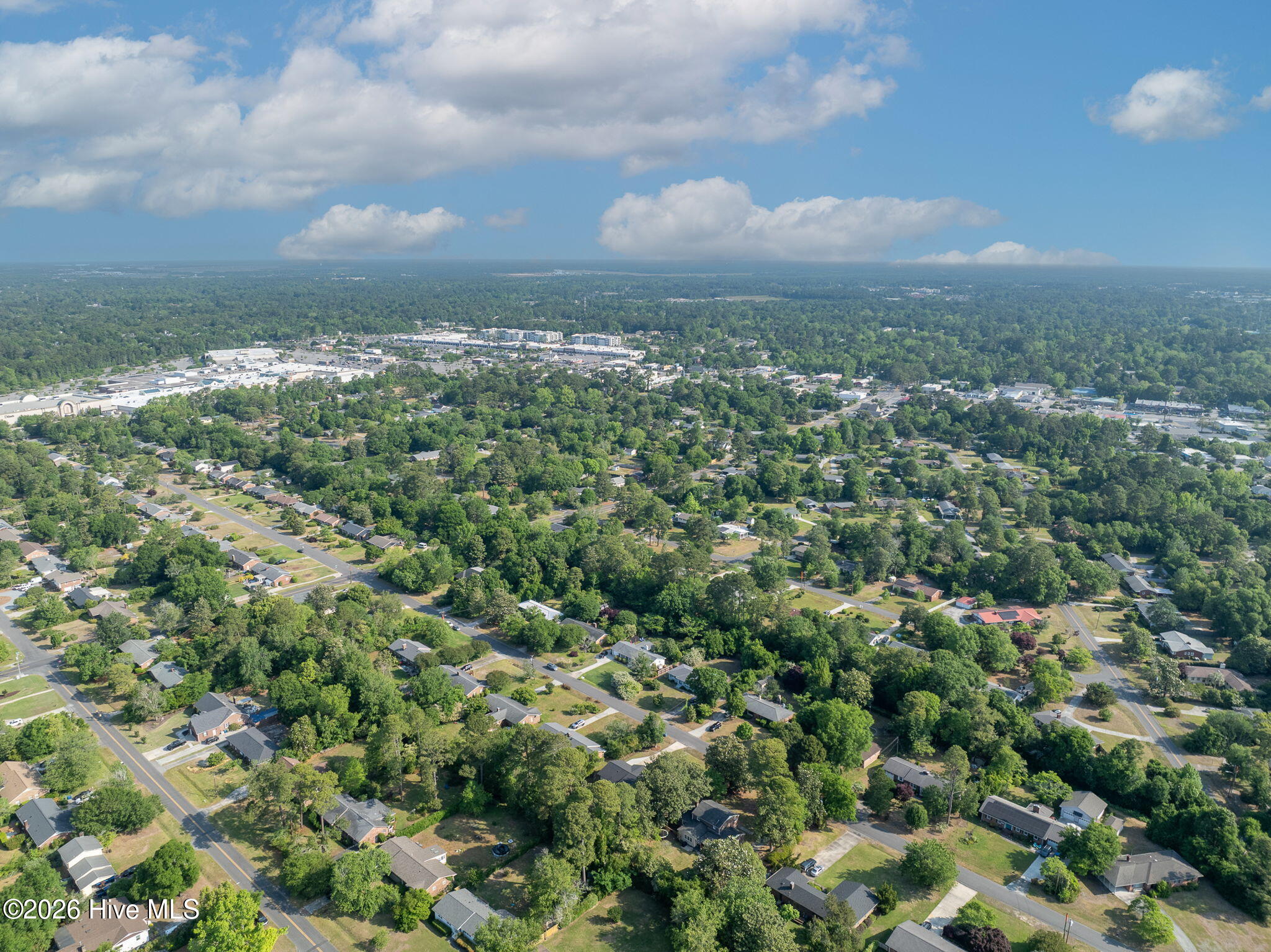 100569769 | Photo 78