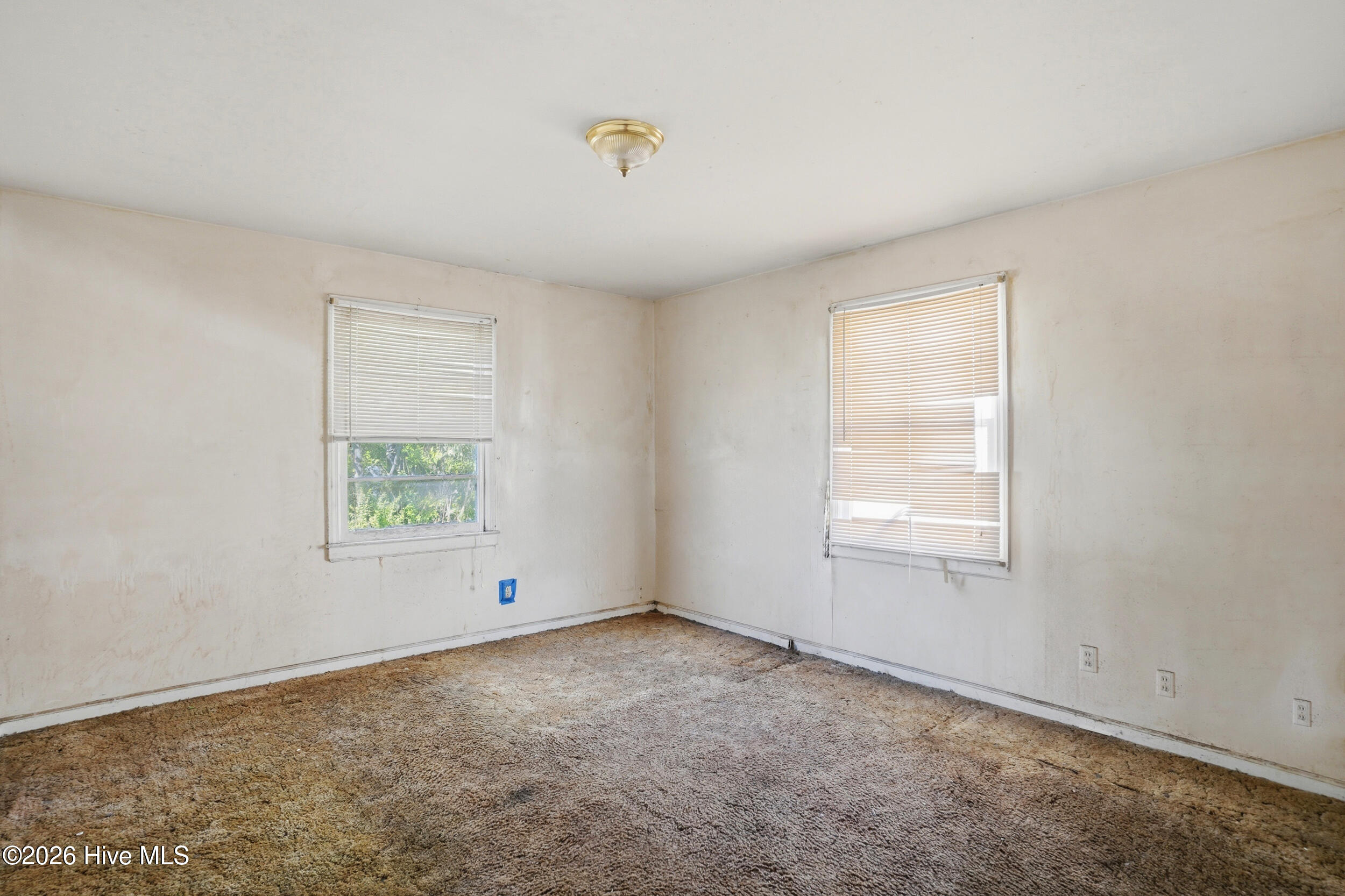 100564252 | Photo 11