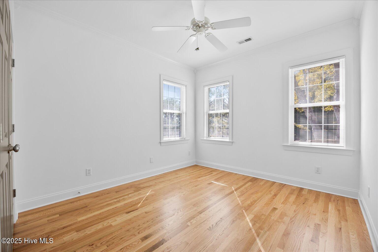 100539645 | Photo 46