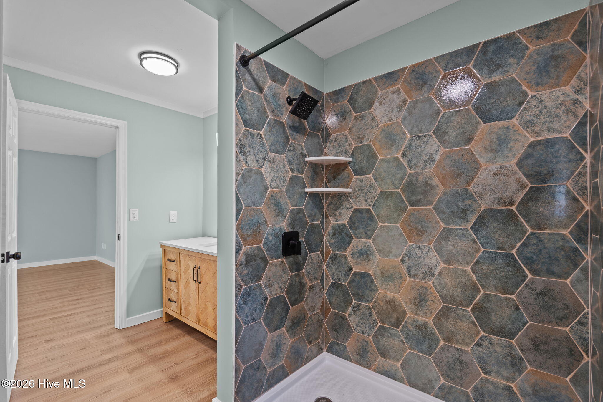 100541666 | Photo 37