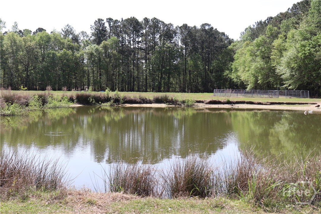 1650 Ebenezer Road, Rincon, GA 31326 Listing Photo  3
