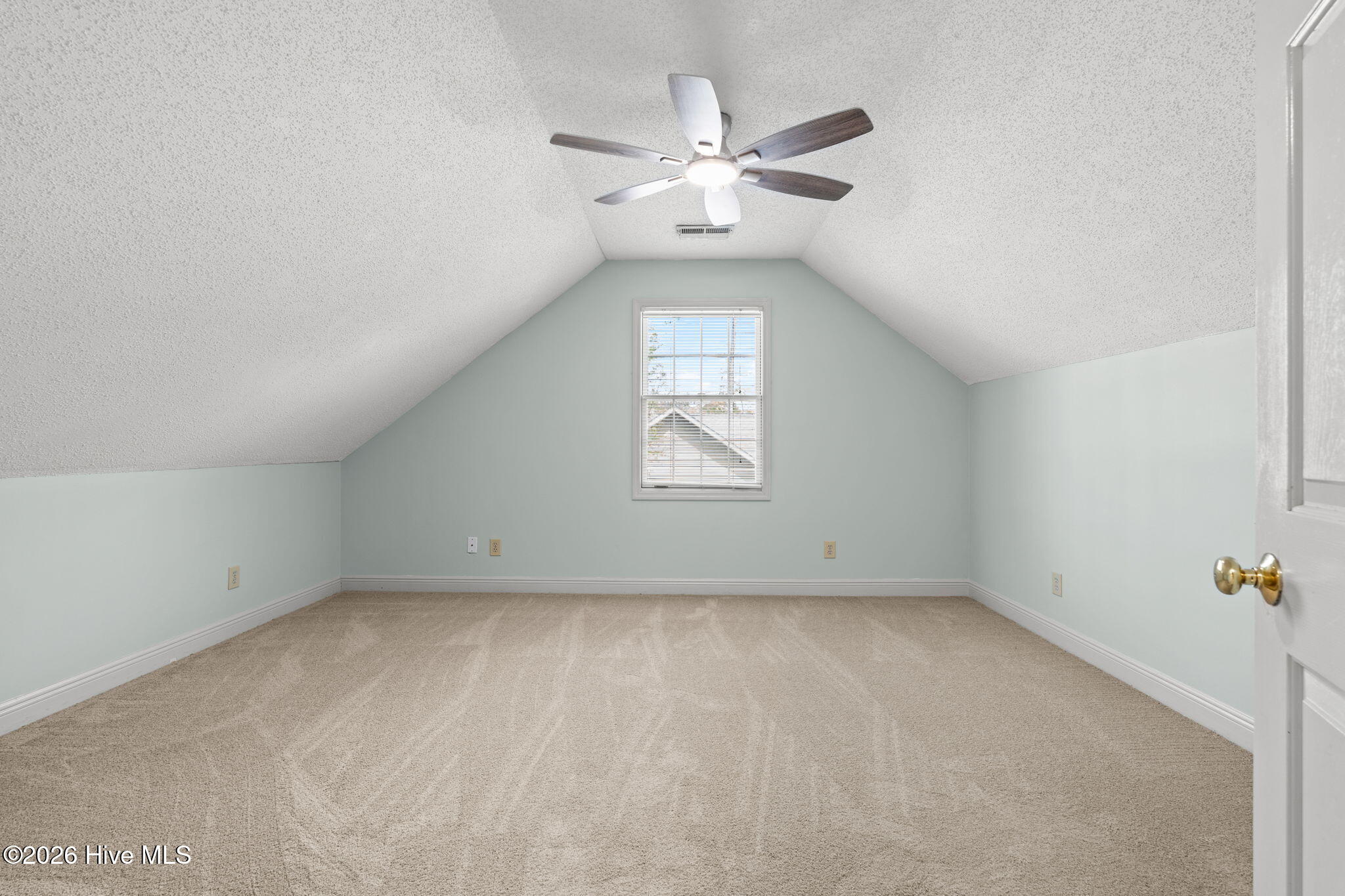 100564721 | Photo 38