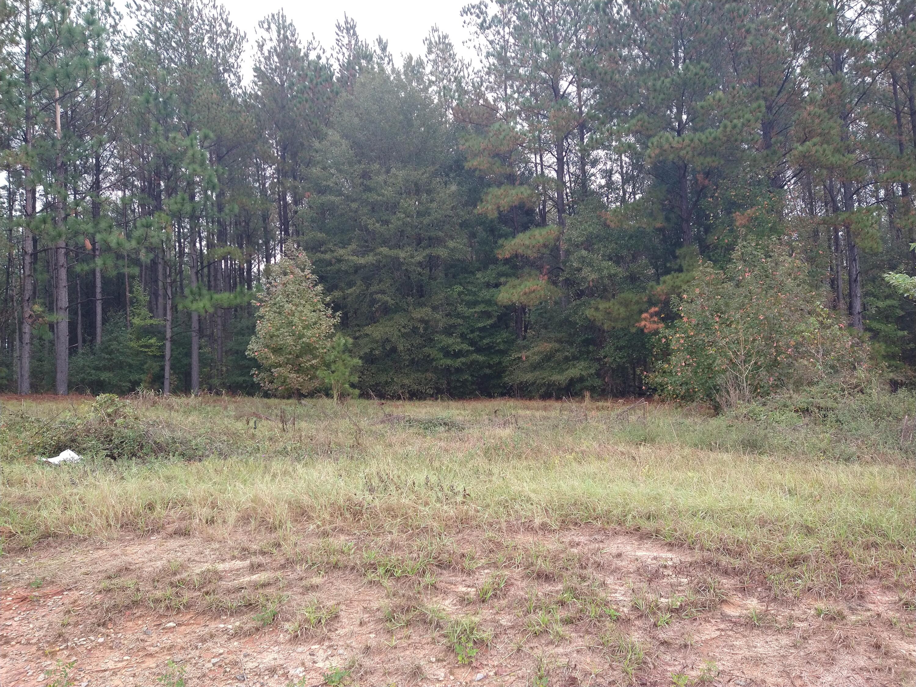 149 Shellbark Way UNIT LOT 33, Savannah, GA, 31407