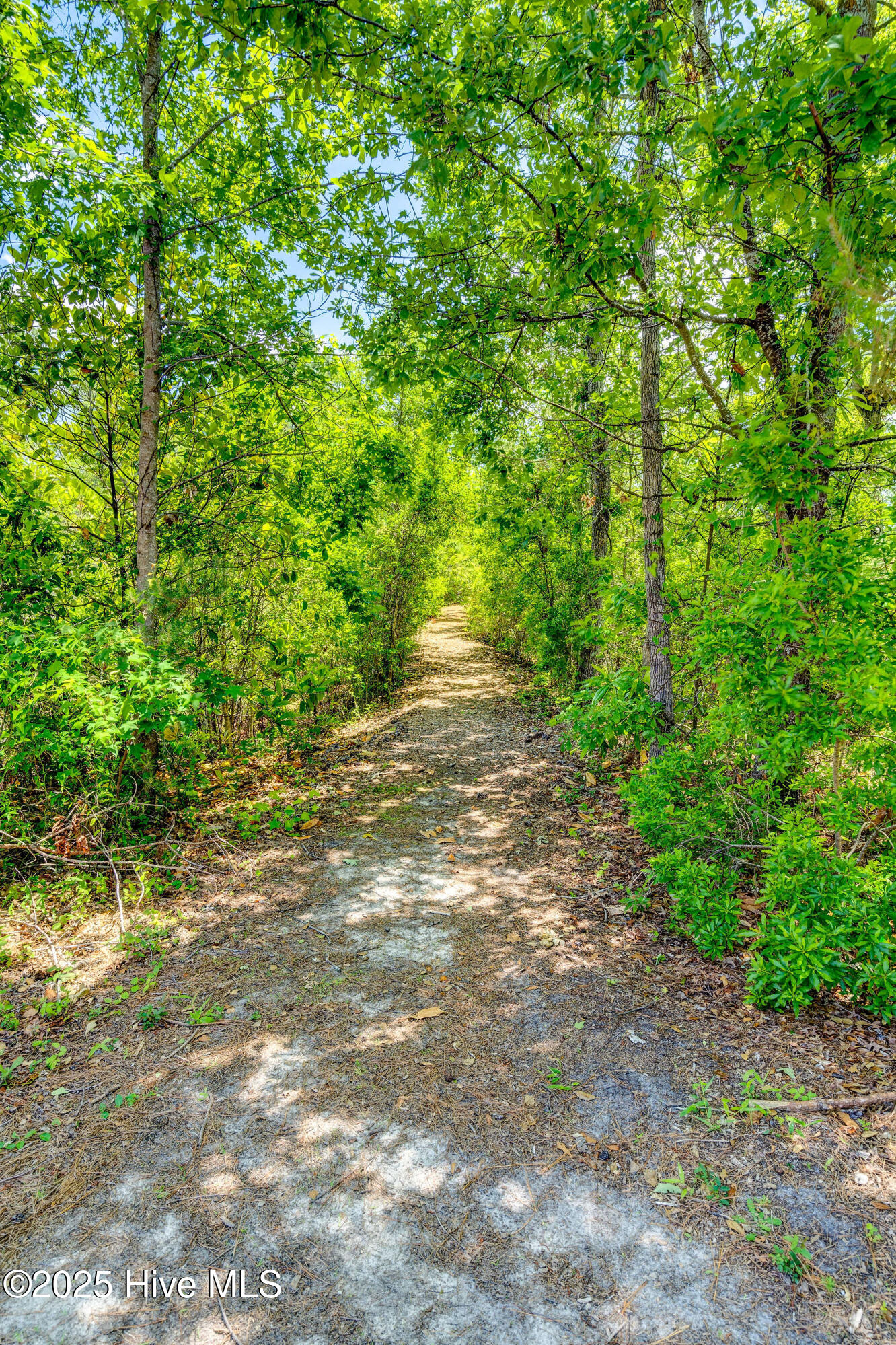 100540017 | Photo 75