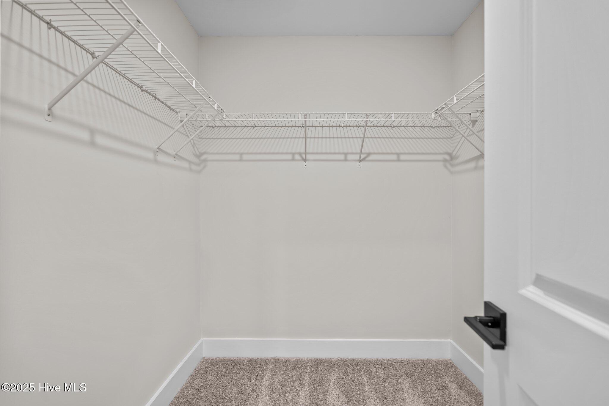 100546819 | Photo 22