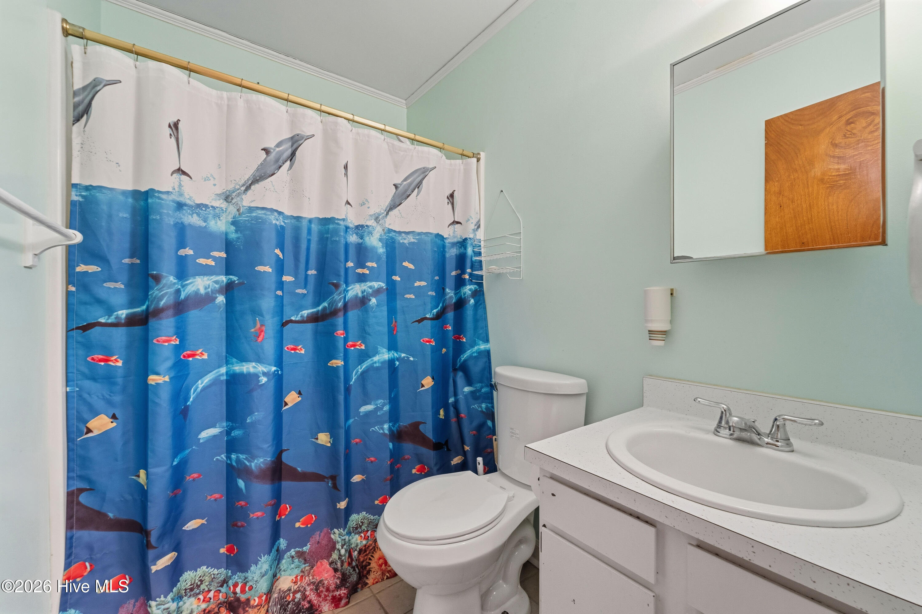 100556367 | Photo 27