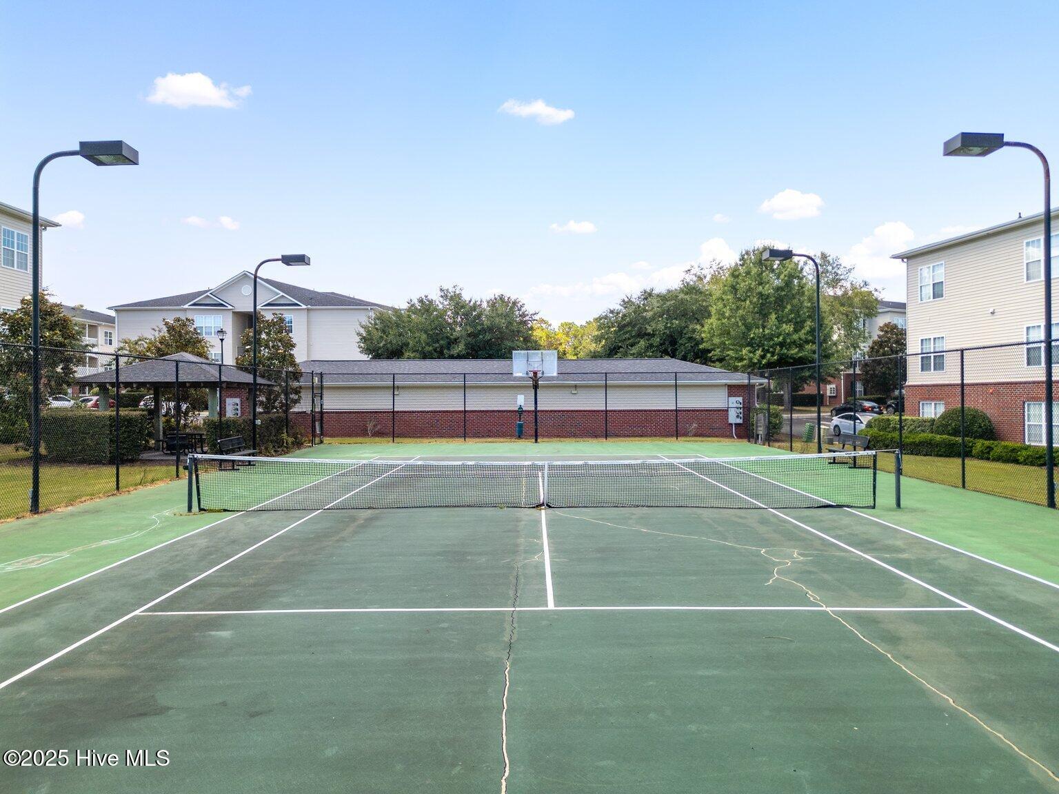 100527168 | Photo 25