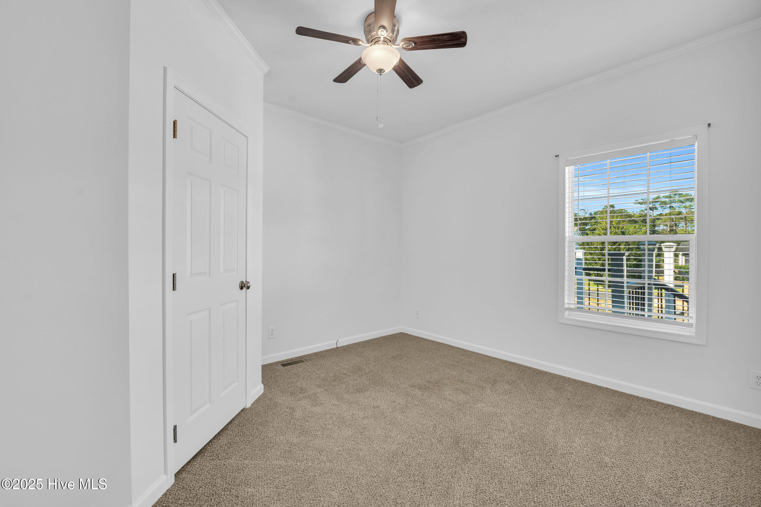 100539826 | Photo 22