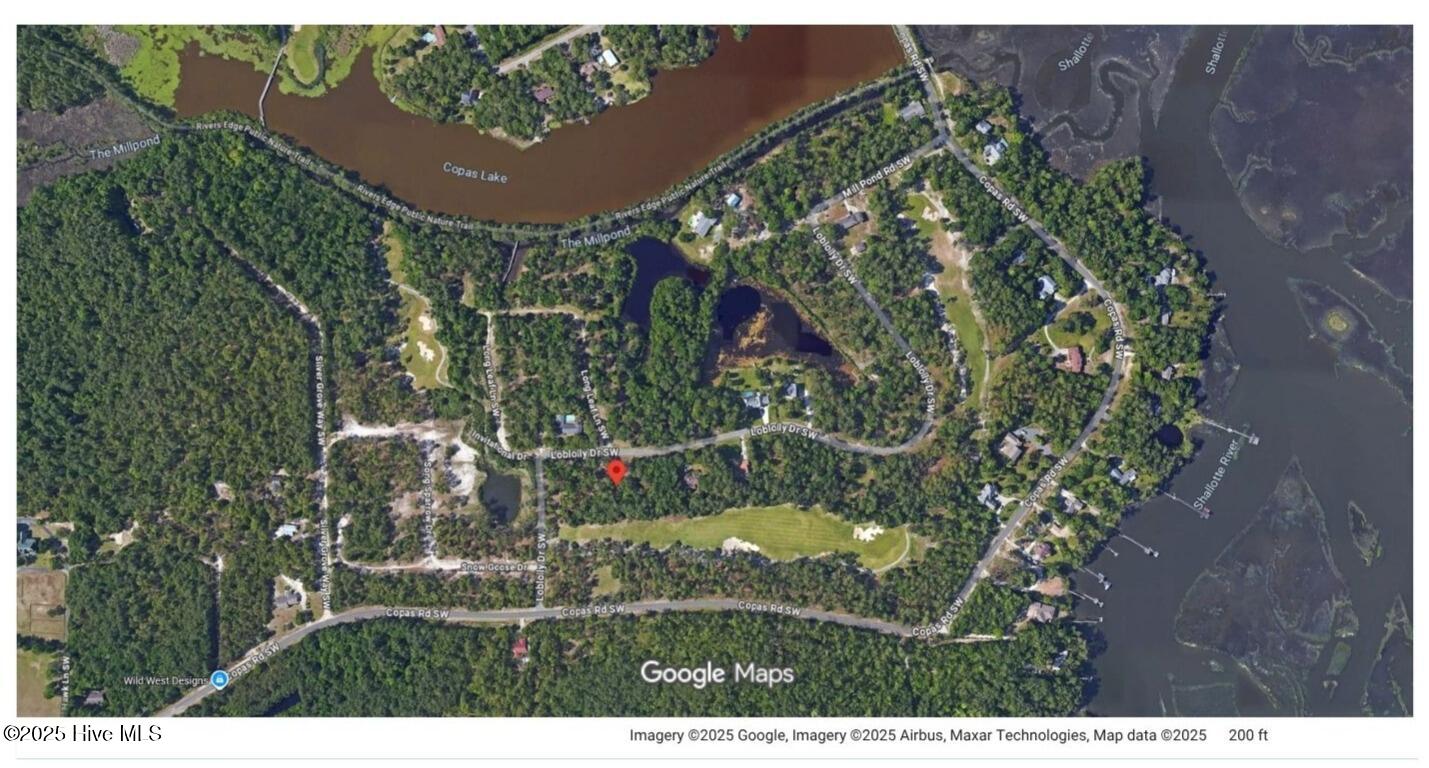 100532594 | Photo 10