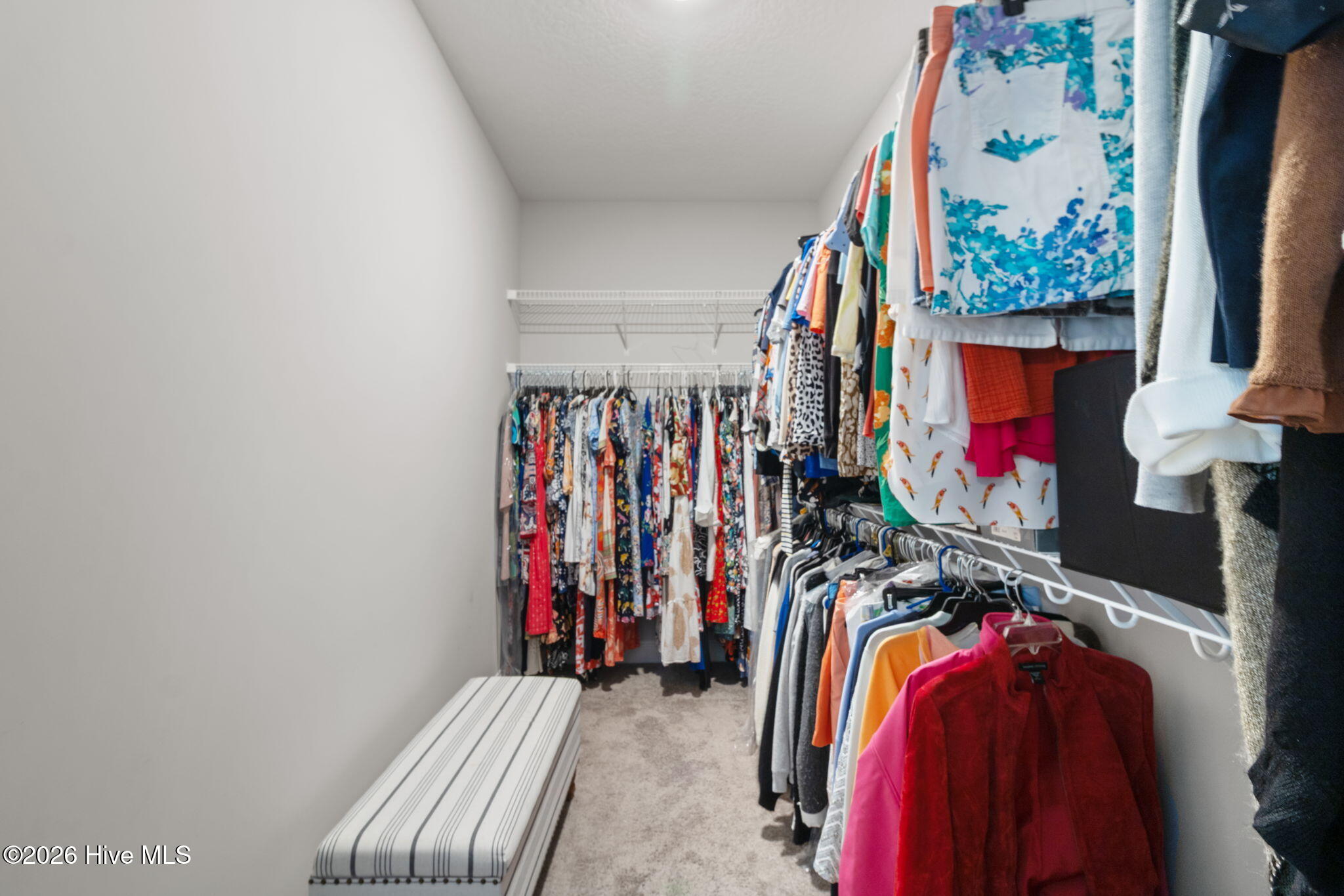 100560055 | Photo 20