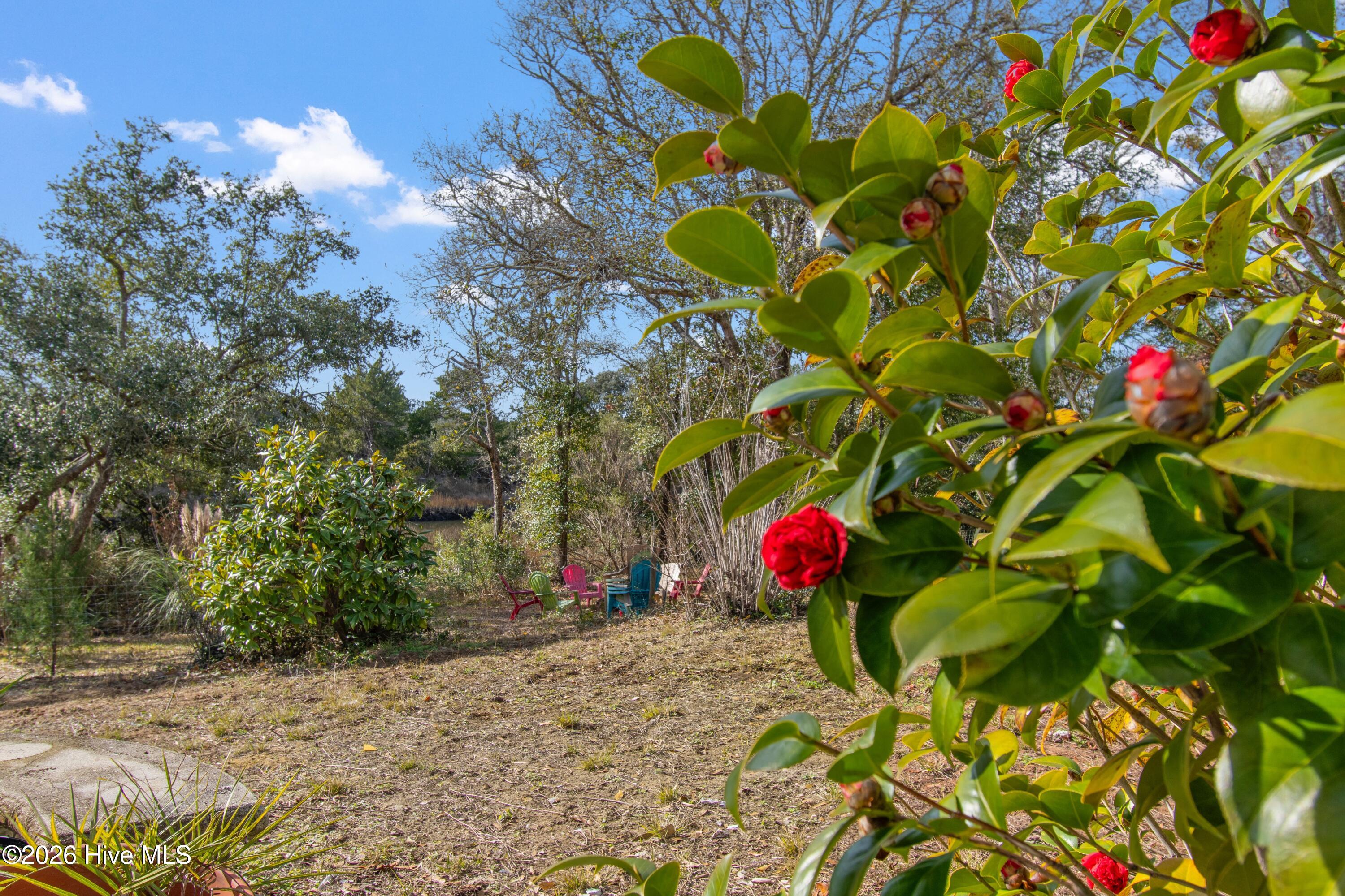 100549205 | Photo 66