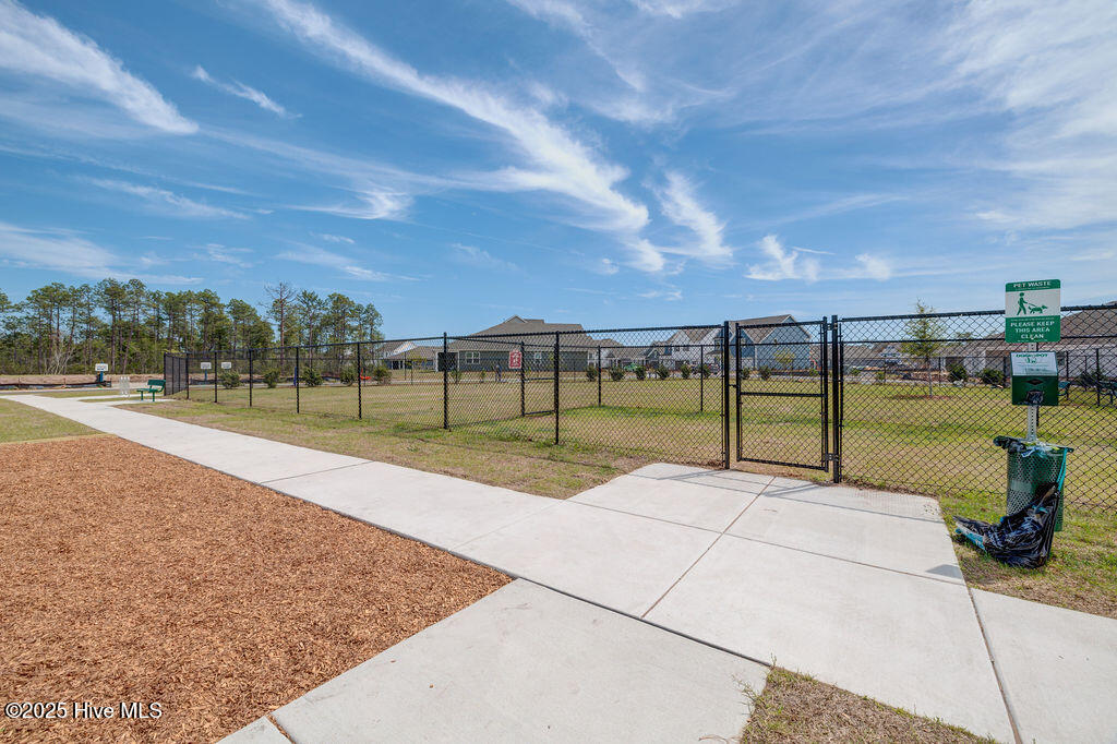 100539935 | Photo 48